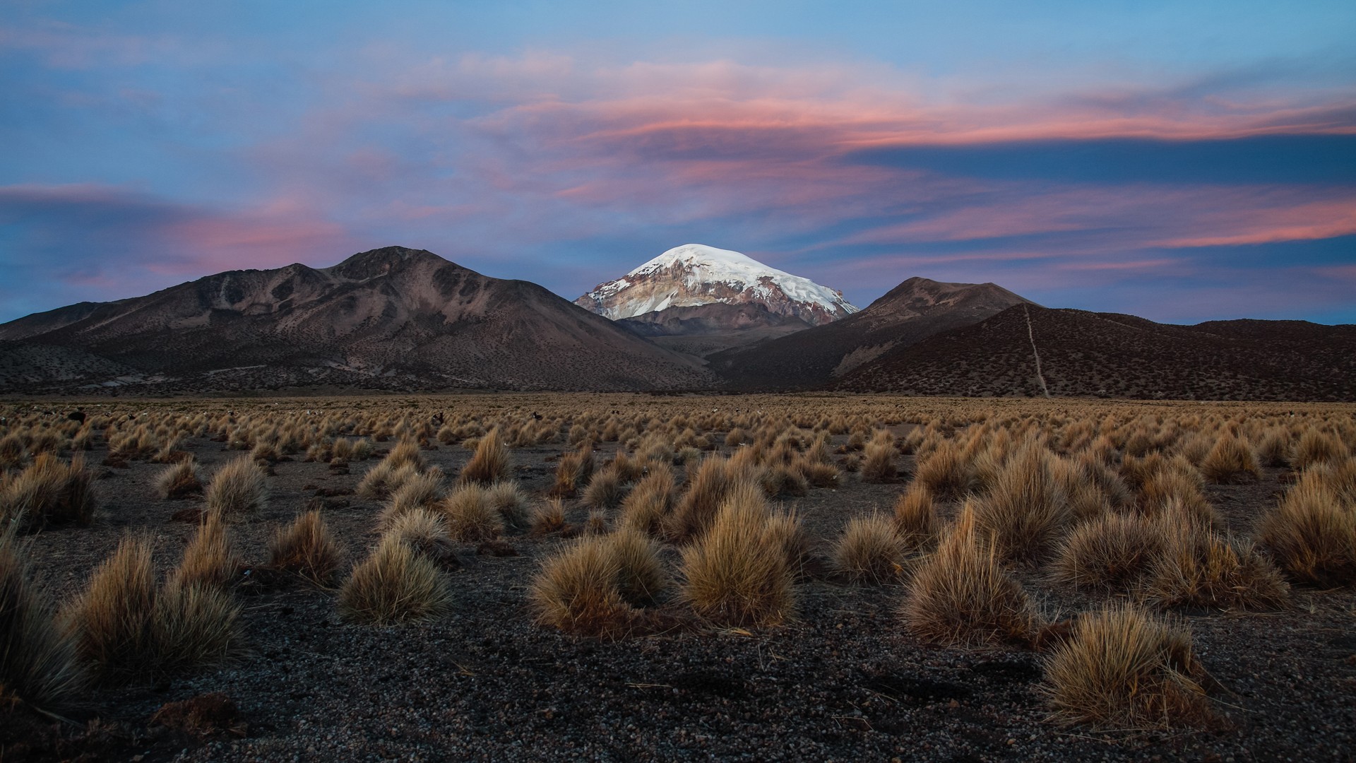 Snow-capped mountain peak at sunset over a grassy plain HD Wallpaper