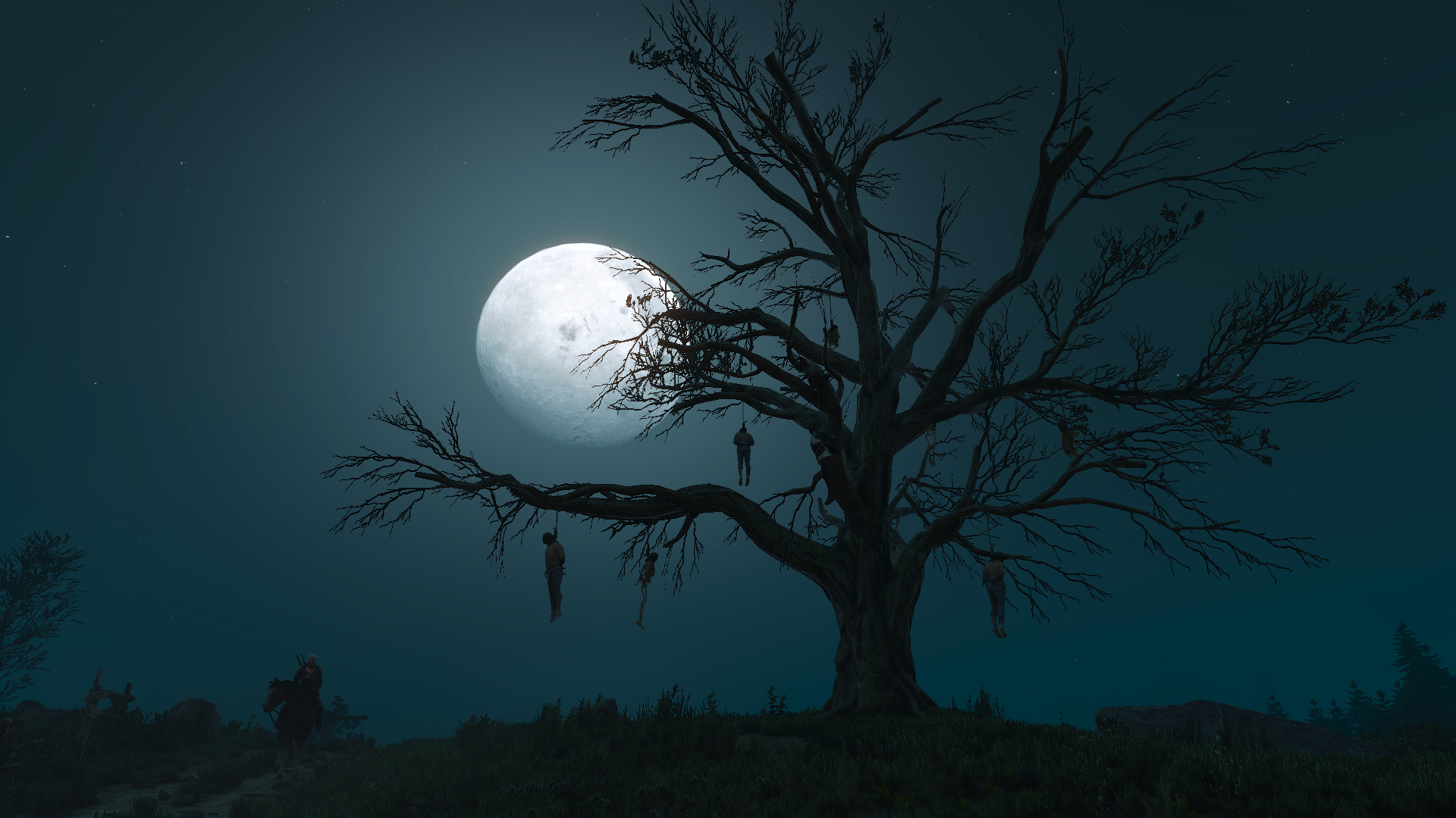 The Witcher 3: Wild Hunt - Hangings Under the Moon HD Wallpaper