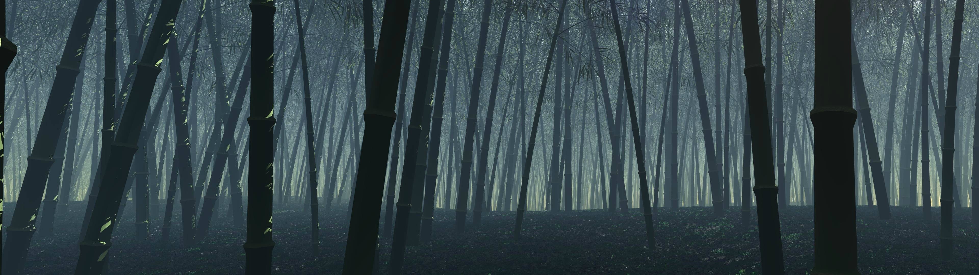 Dark bamboo forest with mist and light rays HD Wallpaper
