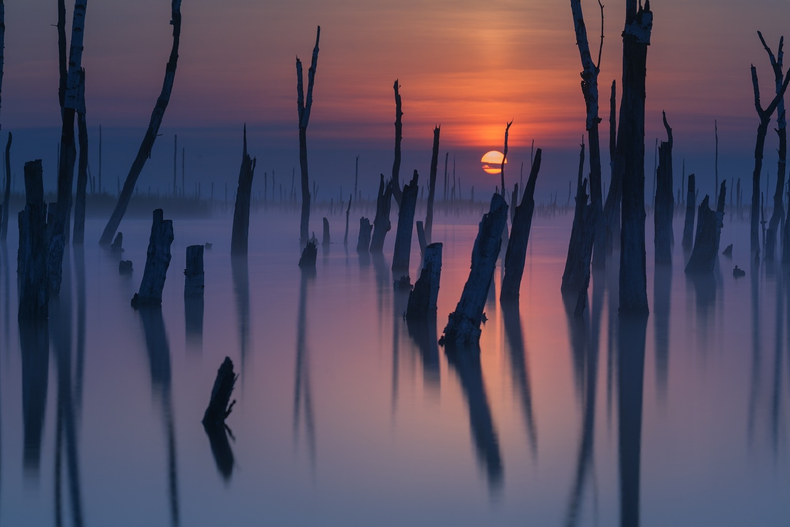 Sunset over a misty lake with dead trees HD Wallpaper
