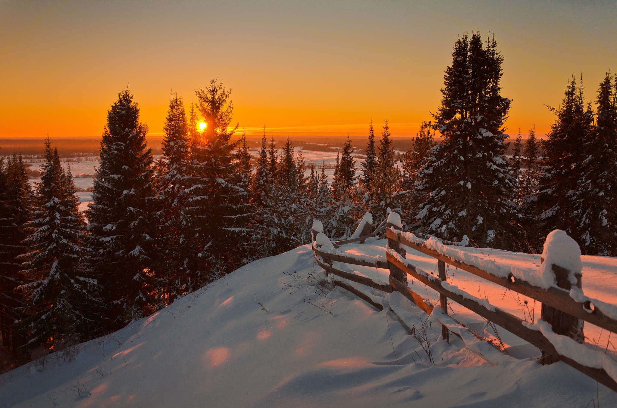 Winter sunset over snow-covered pine forest and wooden fence HD Wallpaper