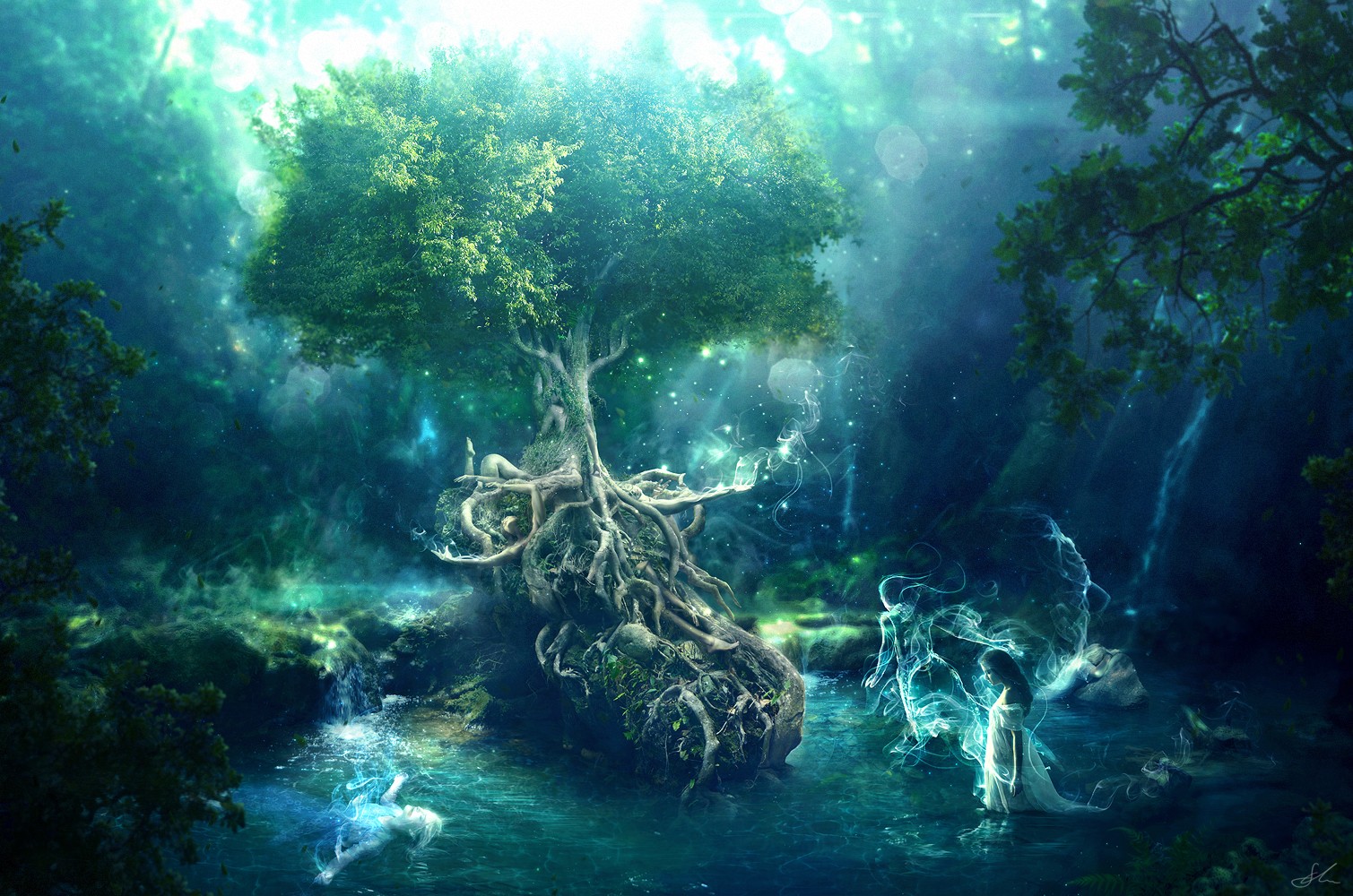 Mystical forest with glowing spirits and a large tree HD Wallpaper