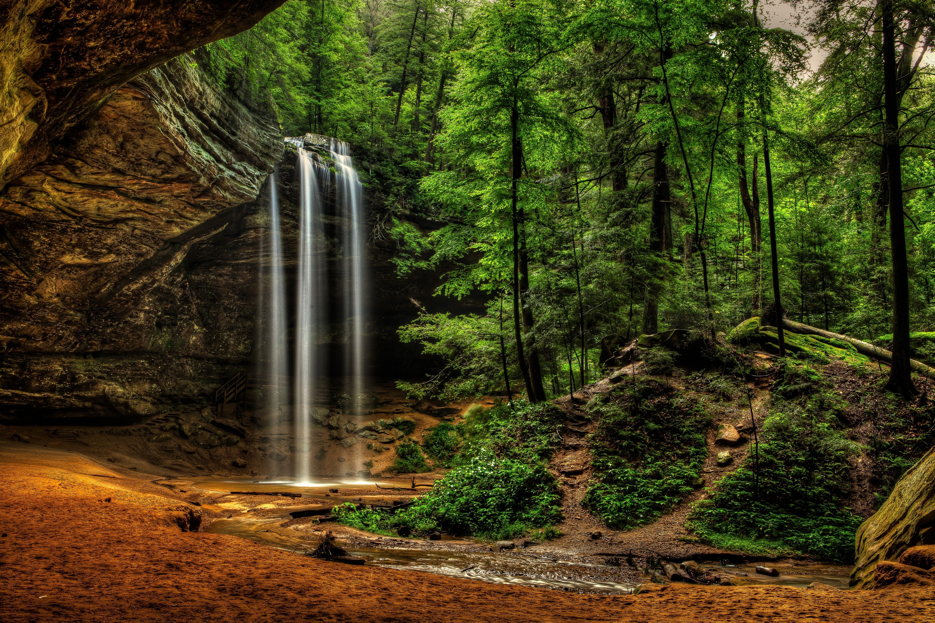 Waterfall in a lush green forest HD Wallpaper