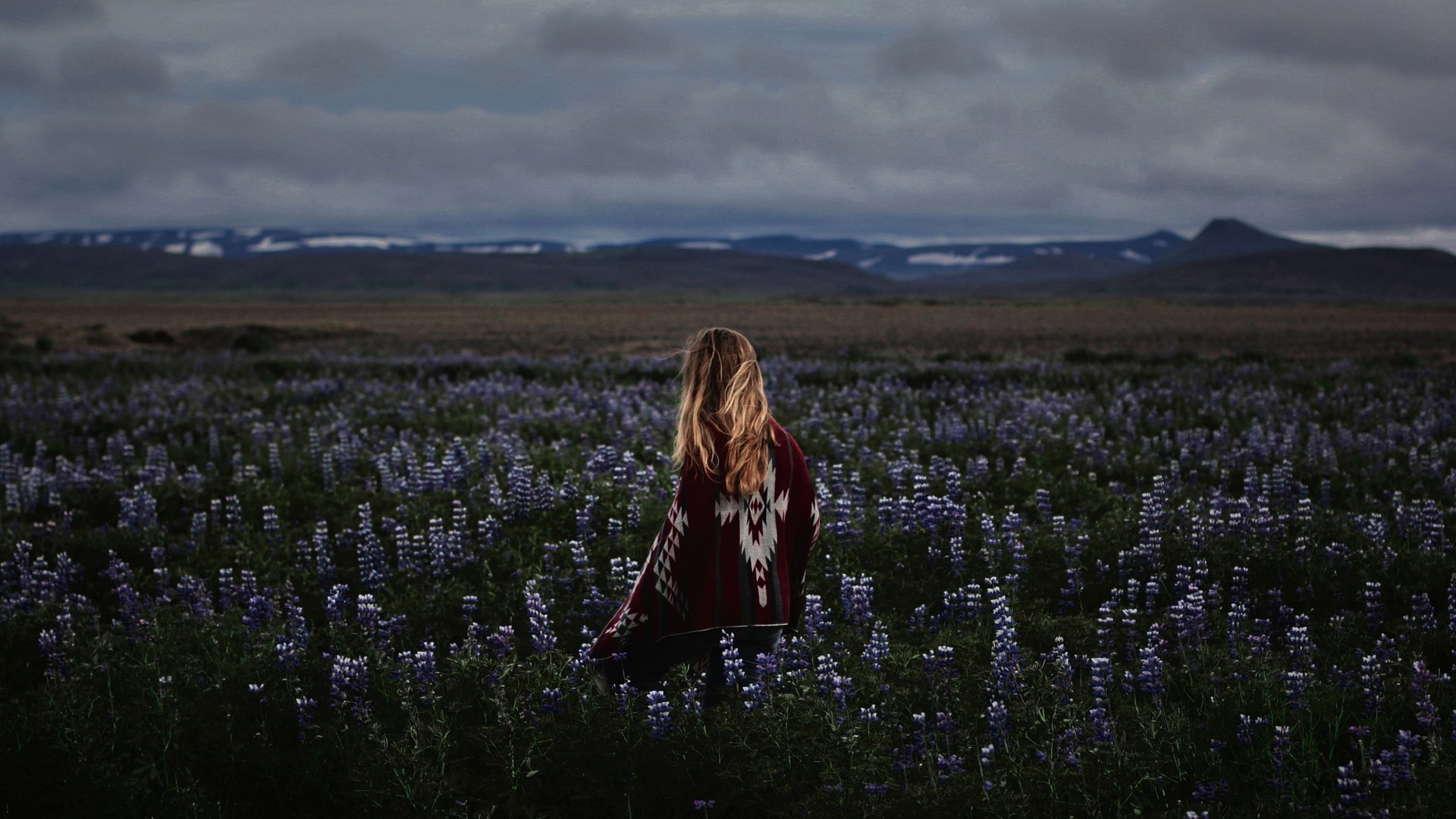 Woman with blonde hair in a field of purple flowers HD Wallpaper