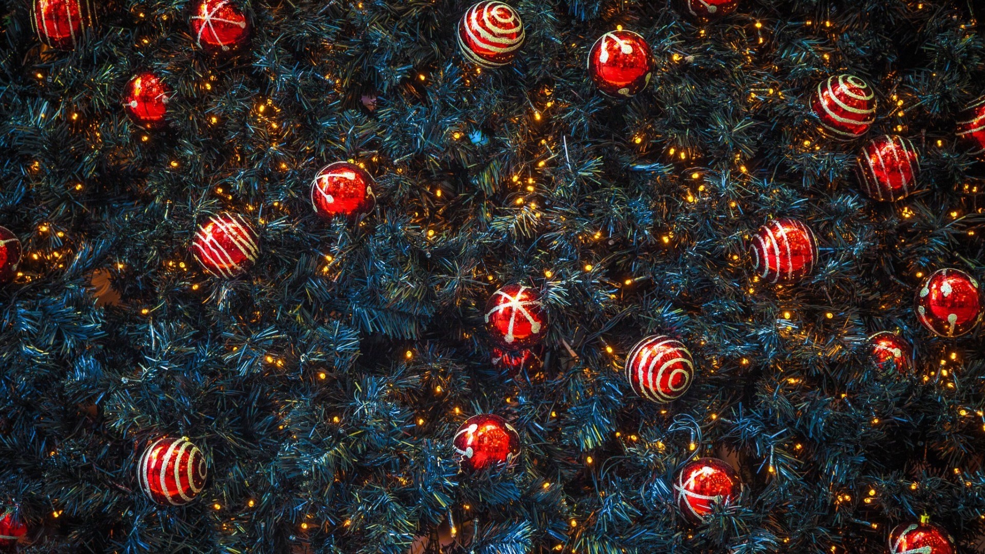 Christmas tree with red ornaments and lights HD Wallpaper