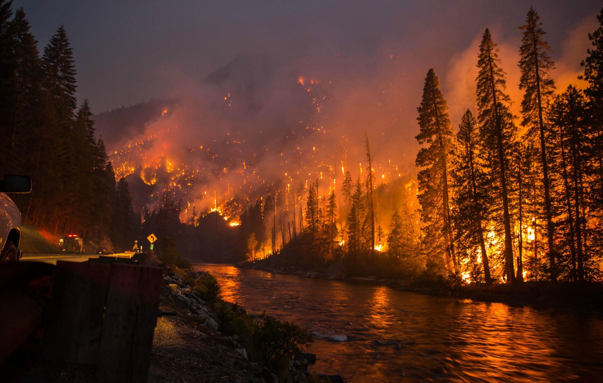 Forest fire raging on a mountainside at night HD Wallpaper