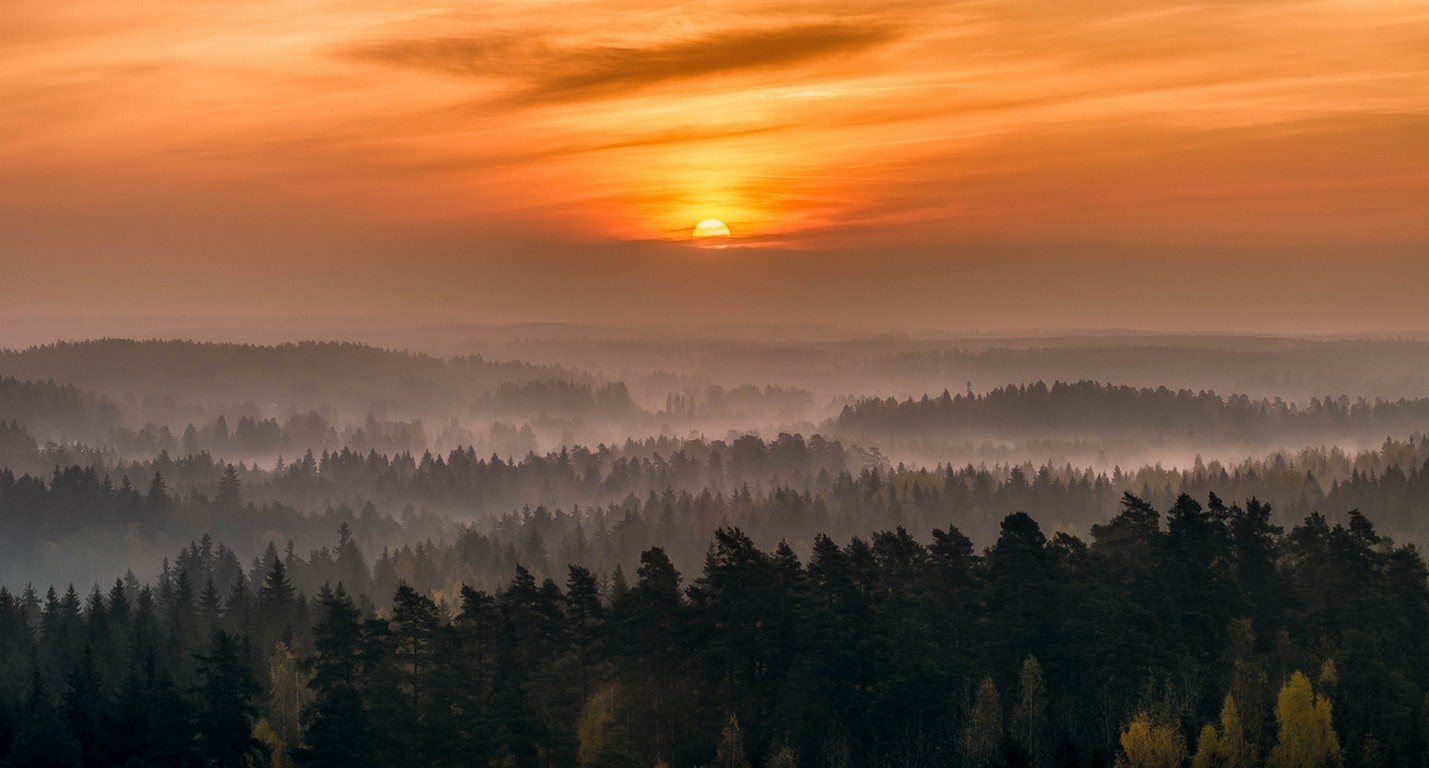 Sunrise over misty forest hills HD Wallpaper