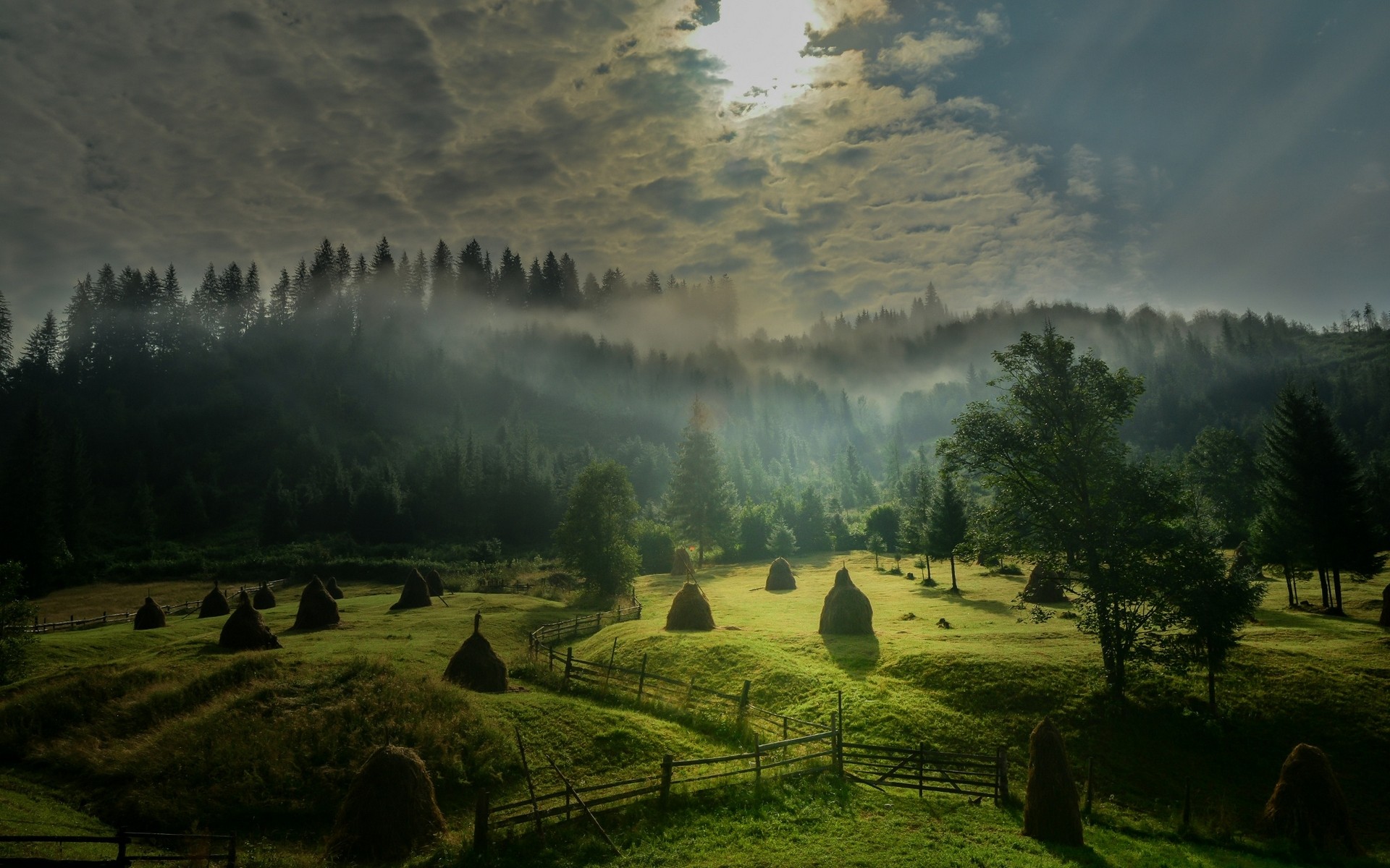 Misty morning landscape with haystacks and forest HD Wallpaper