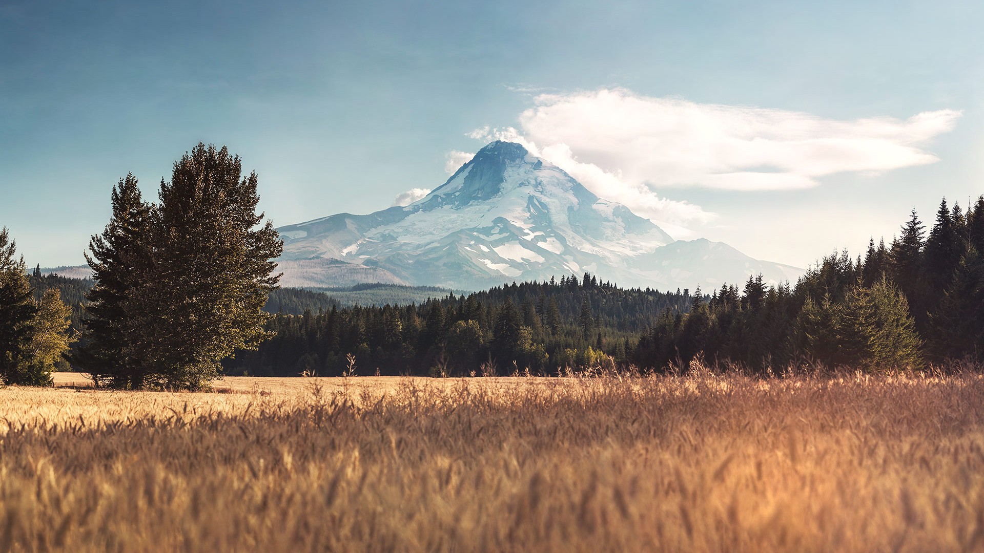 photo manipulation, Mount Hood, Oregon, mountains, field, clouds, trees, forest HD Wallpaper