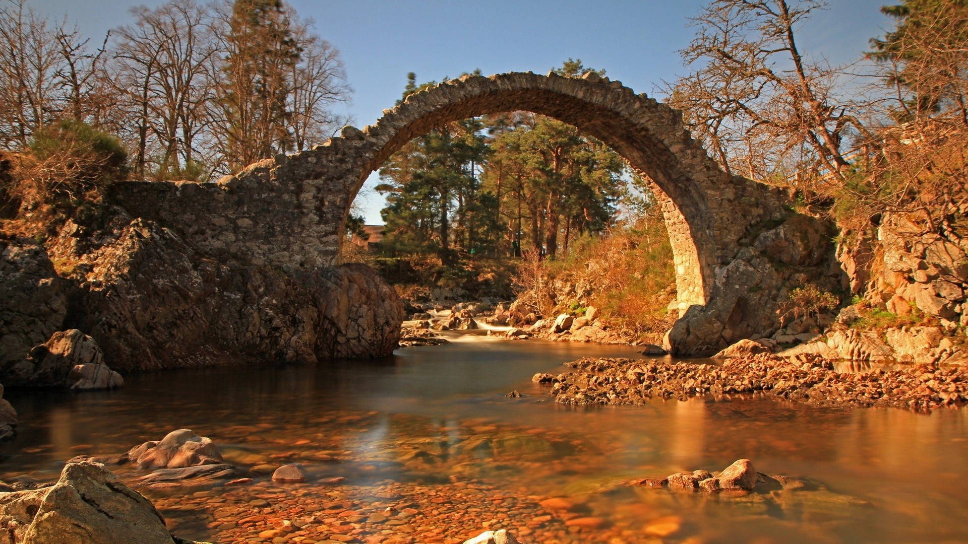 Stone arch bridge over a river in a forest HD Wallpaper