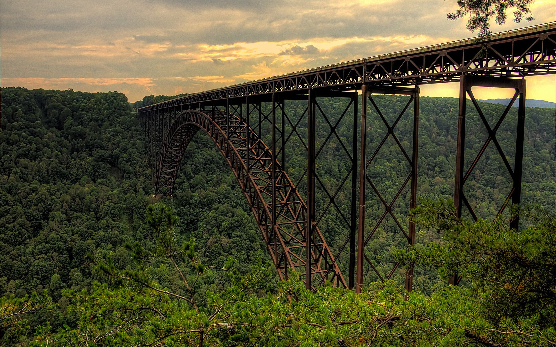 landscape, forest, bridge HD Wallpaper