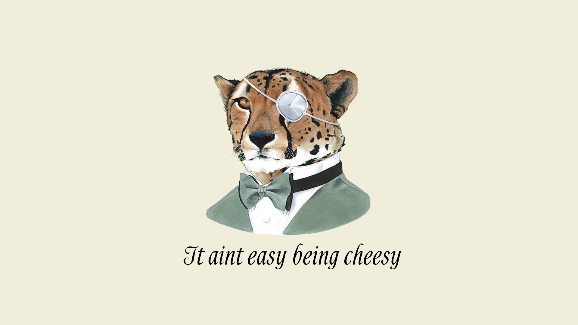 Cheetah wearing a monocle and bowtie HD Wallpaper