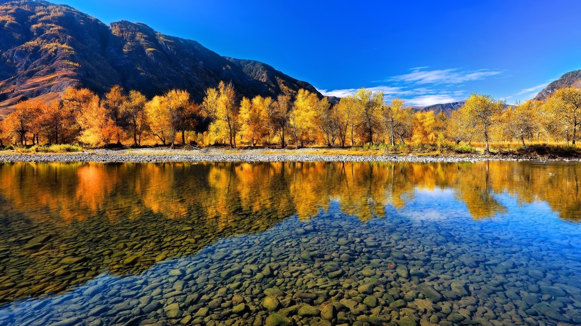 Autumn trees reflected in a clear river with mountains HD Wallpaper
