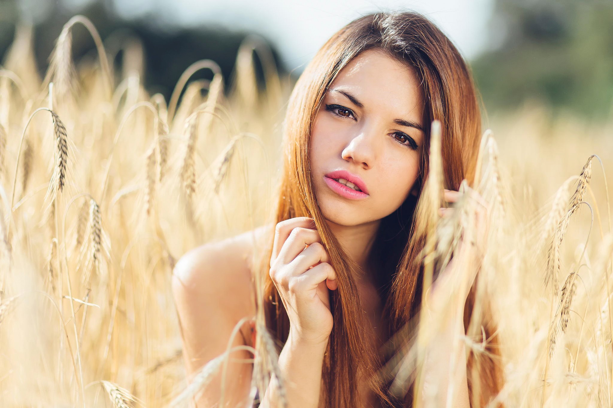 Woman in a wheat field HD Wallpaper