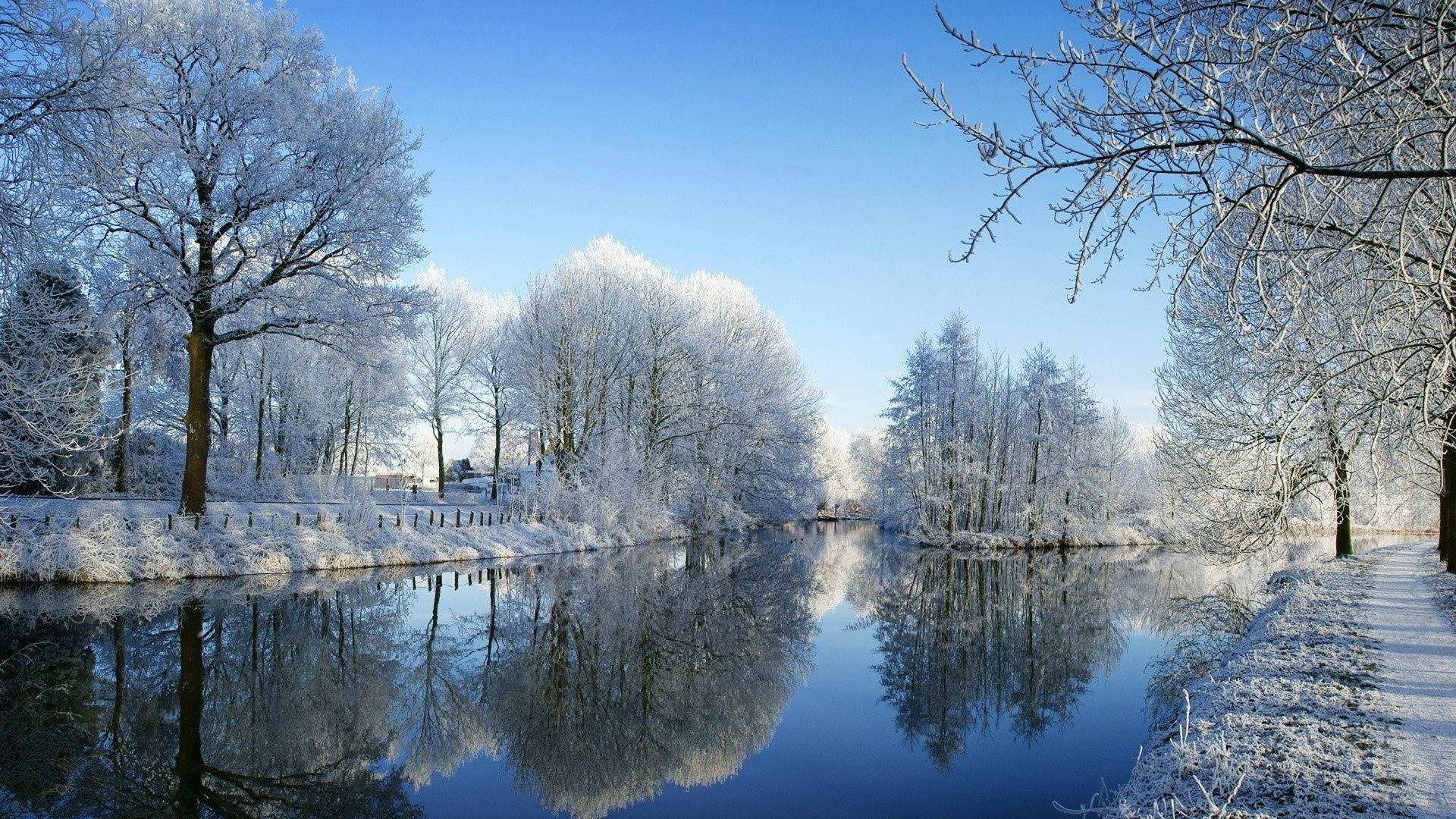 Winter scene with a frozen river and trees HD Wallpaper