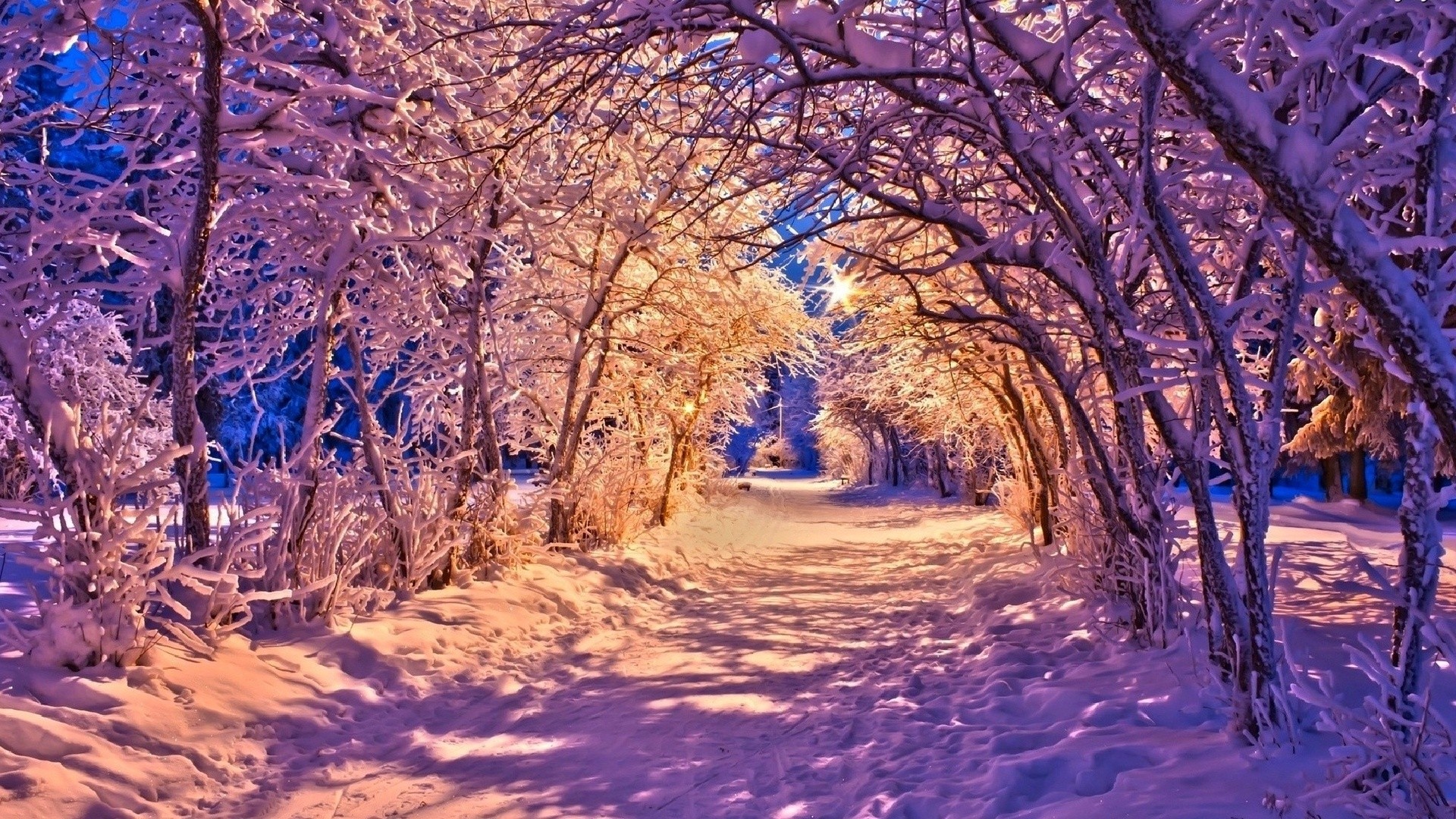 Snowy park path illuminated by warm lights HD Wallpaper