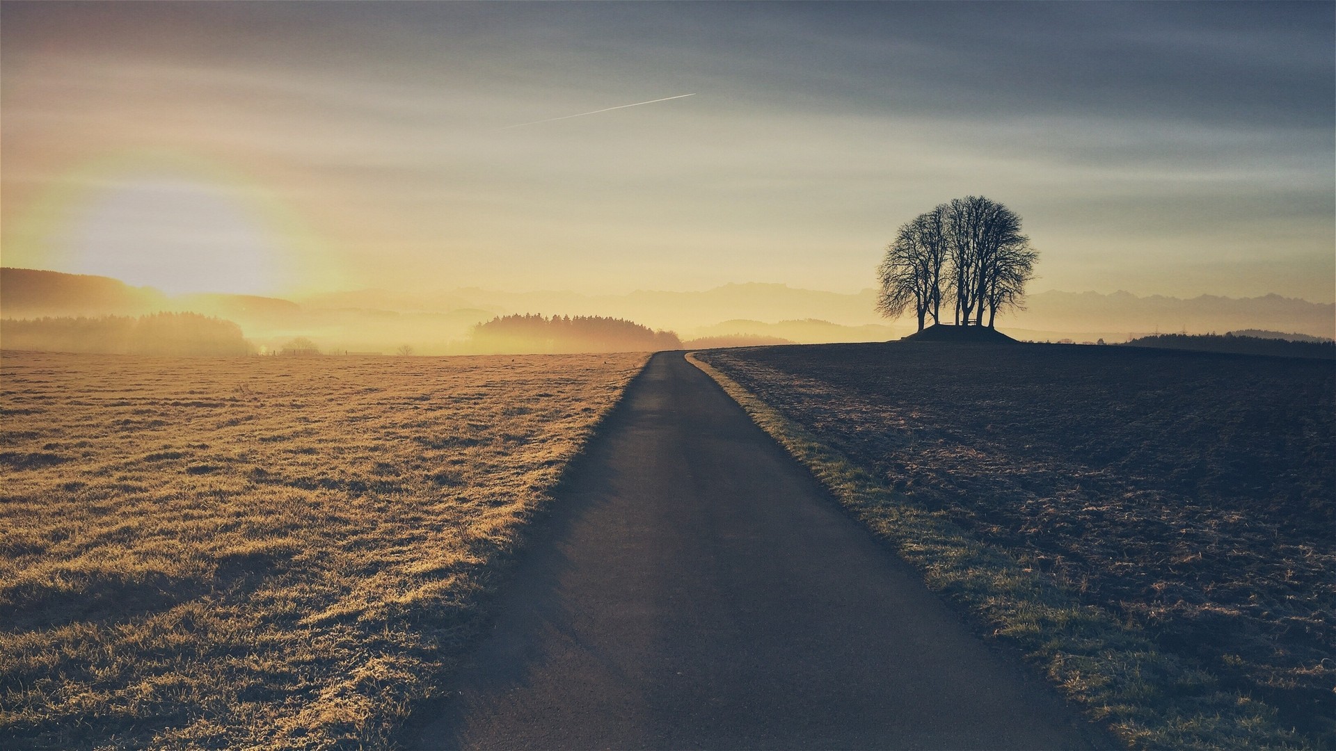 Road through fields at sunset with trees HD Wallpaper
