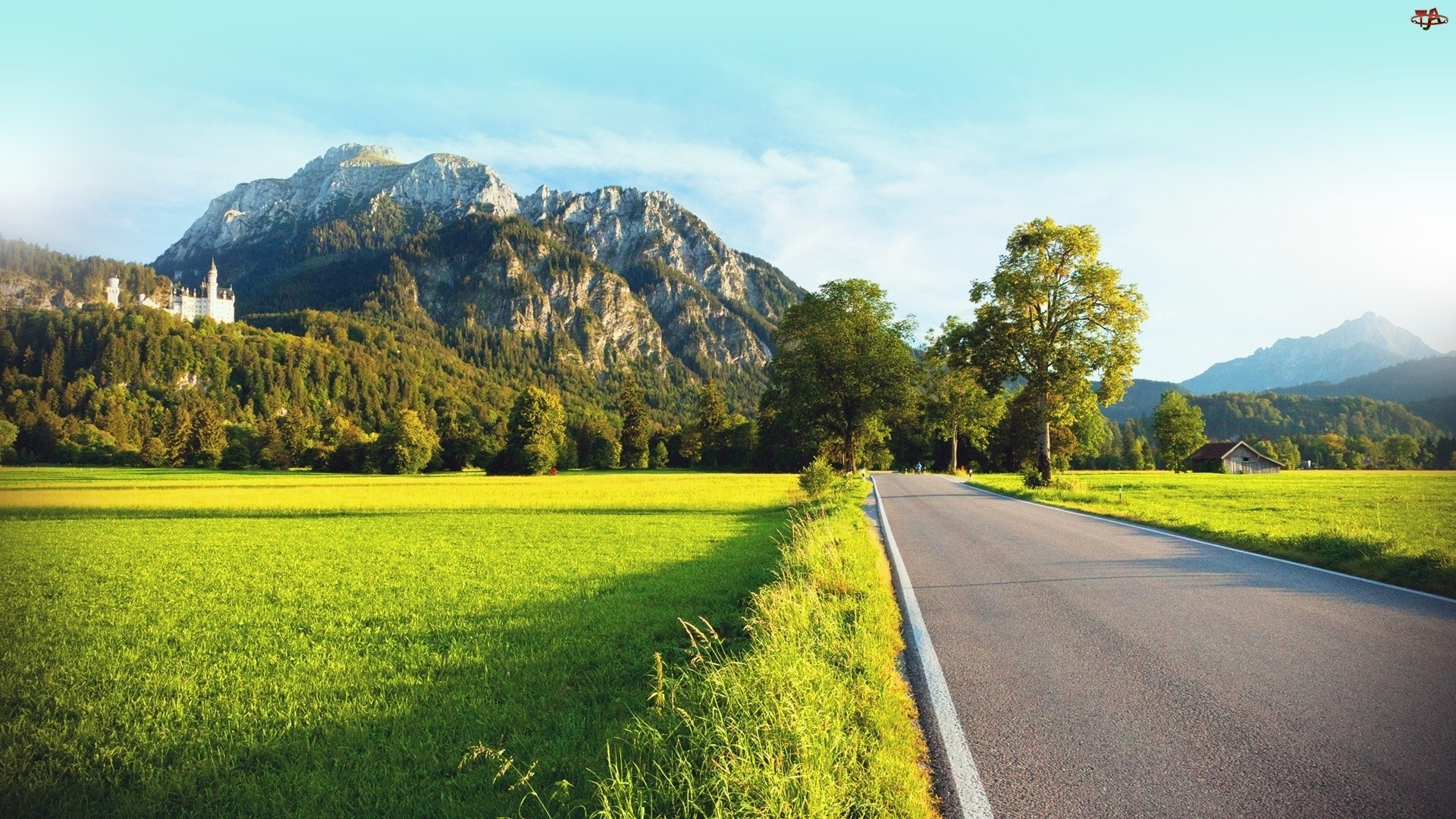 Neuschwanstein Castle in the Bavarian Alps HD Wallpaper