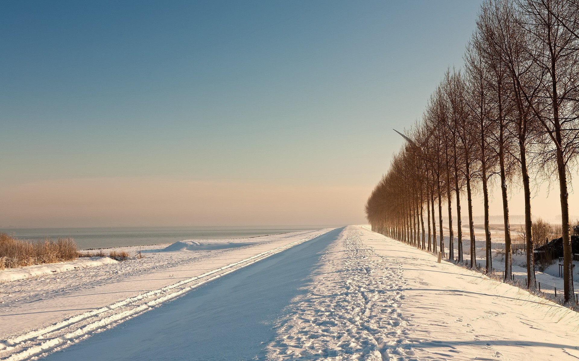 Snowy landscape with a line of trees and a body of water HD Wallpaper