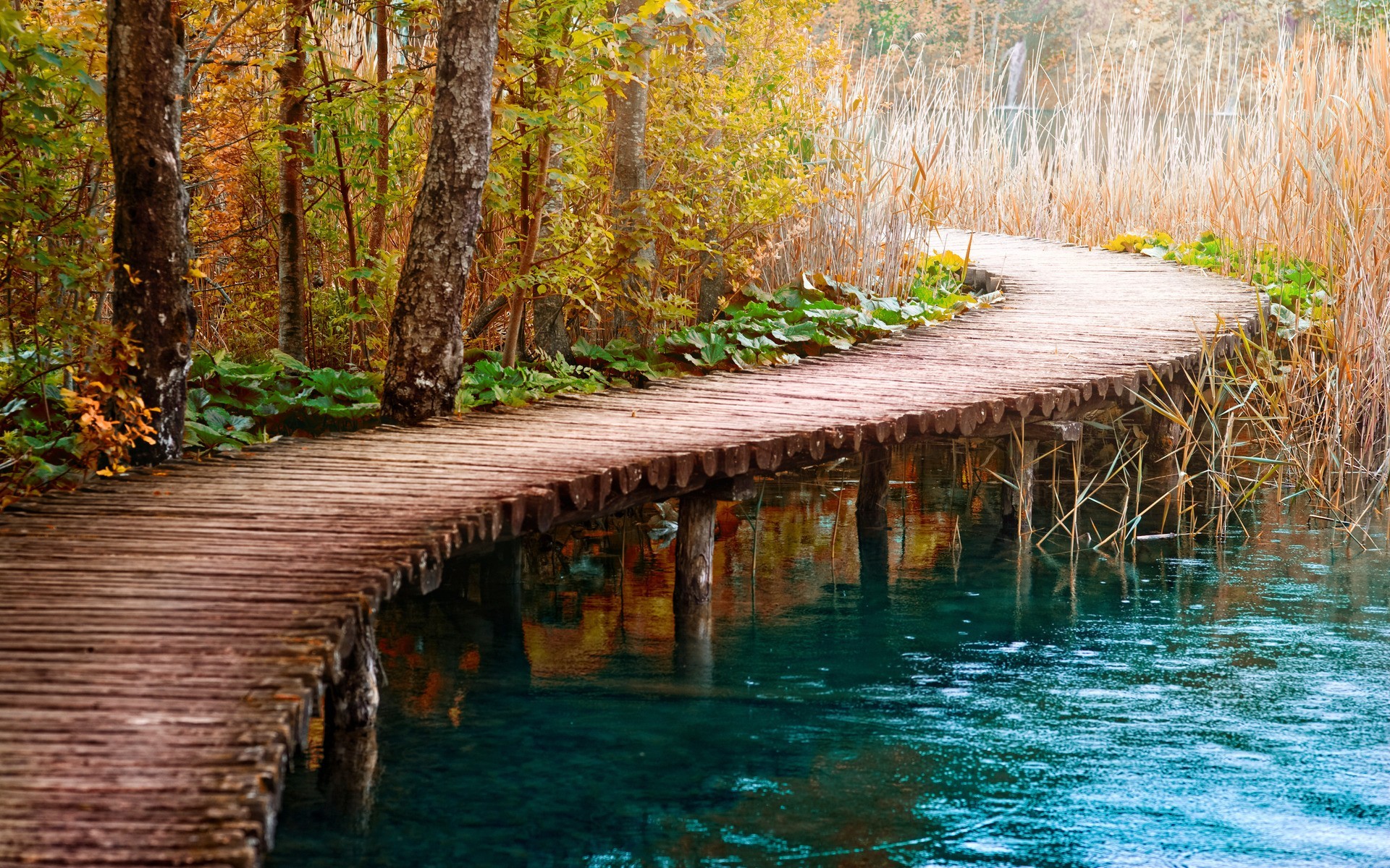 Wooden bridge over blue water in autumn forest HD Wallpaper