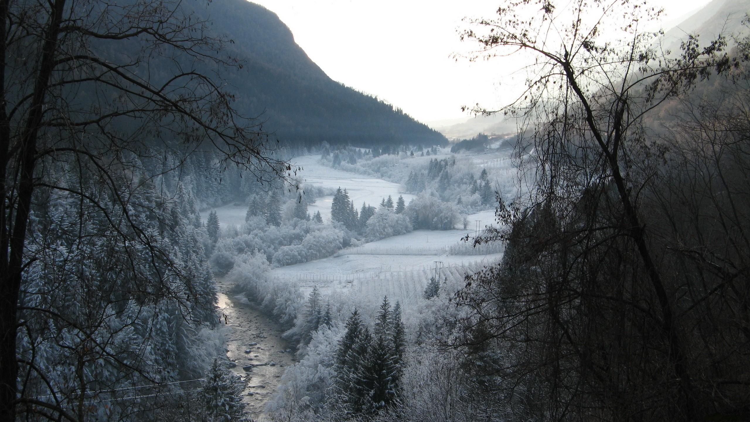 Winter landscape with snow-covered trees and a river HD Wallpaper