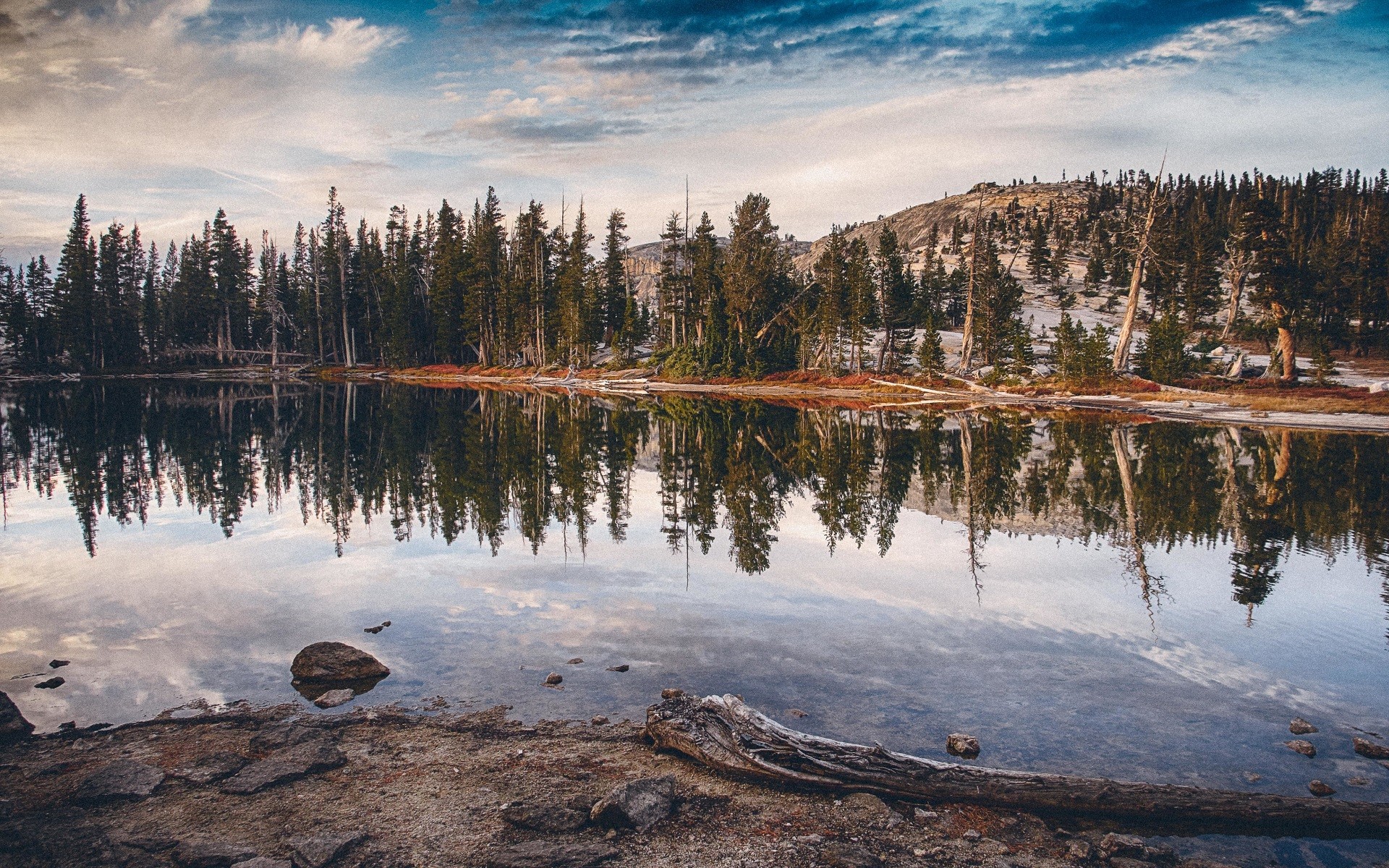 Forest reflected in a calm lake with mountains HD Wallpaper
