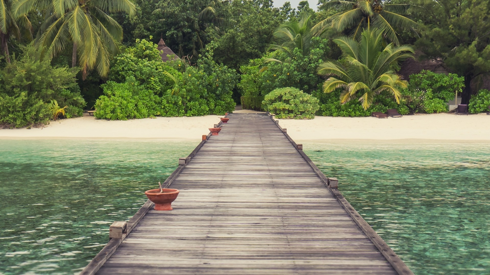 Wooden pier leading to a tropical beach with palm trees HD Wallpaper
