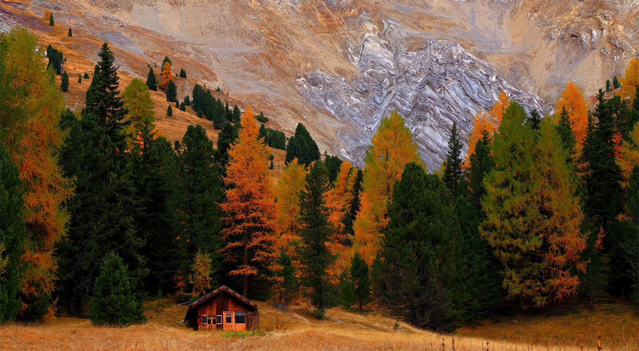 Small hut in a forest during fall HD Wallpaper