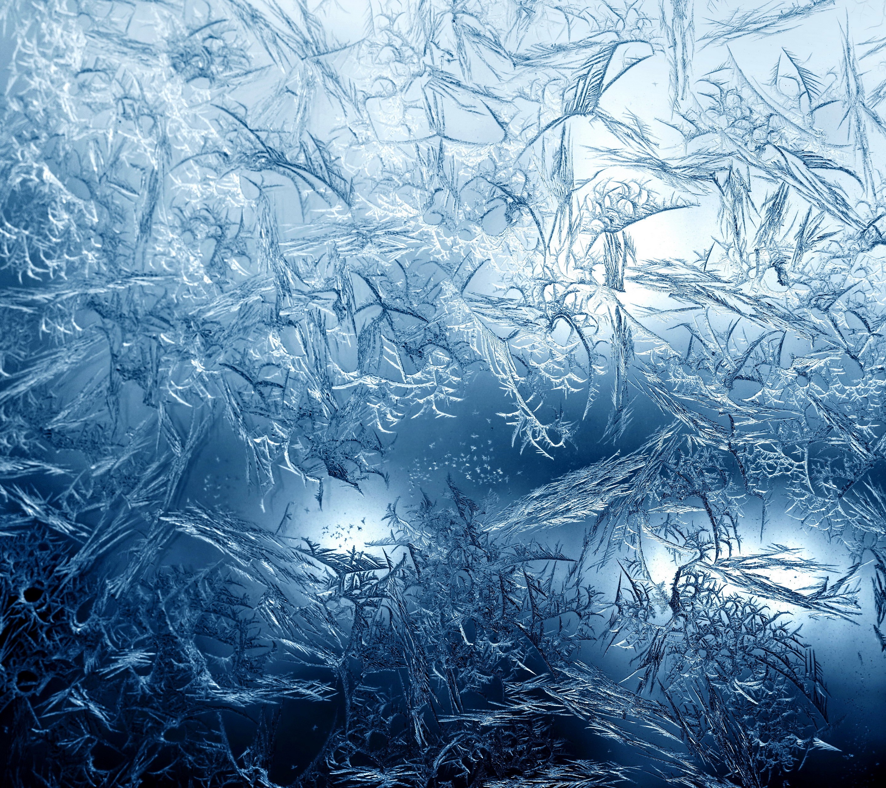Close-up of intricate ice and frost patterns on a window HD Wallpaper