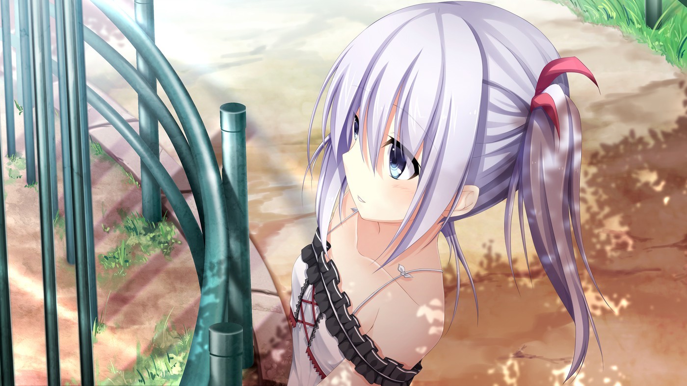 Shirakawa Hotaru from Otonari Koi Sensou HD Wallpaper