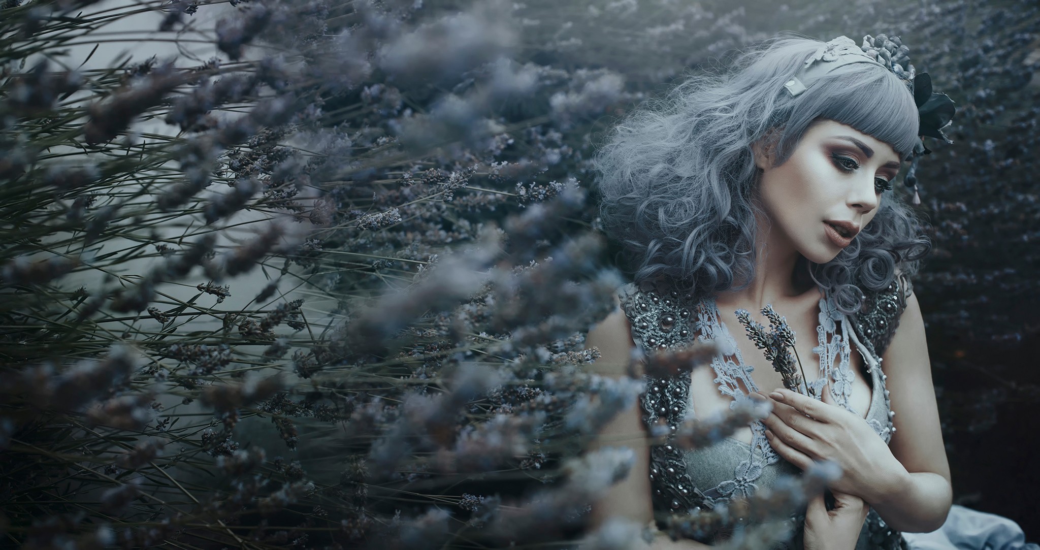 Bella Kotak model with grey hair in lavender field HD Wallpaper