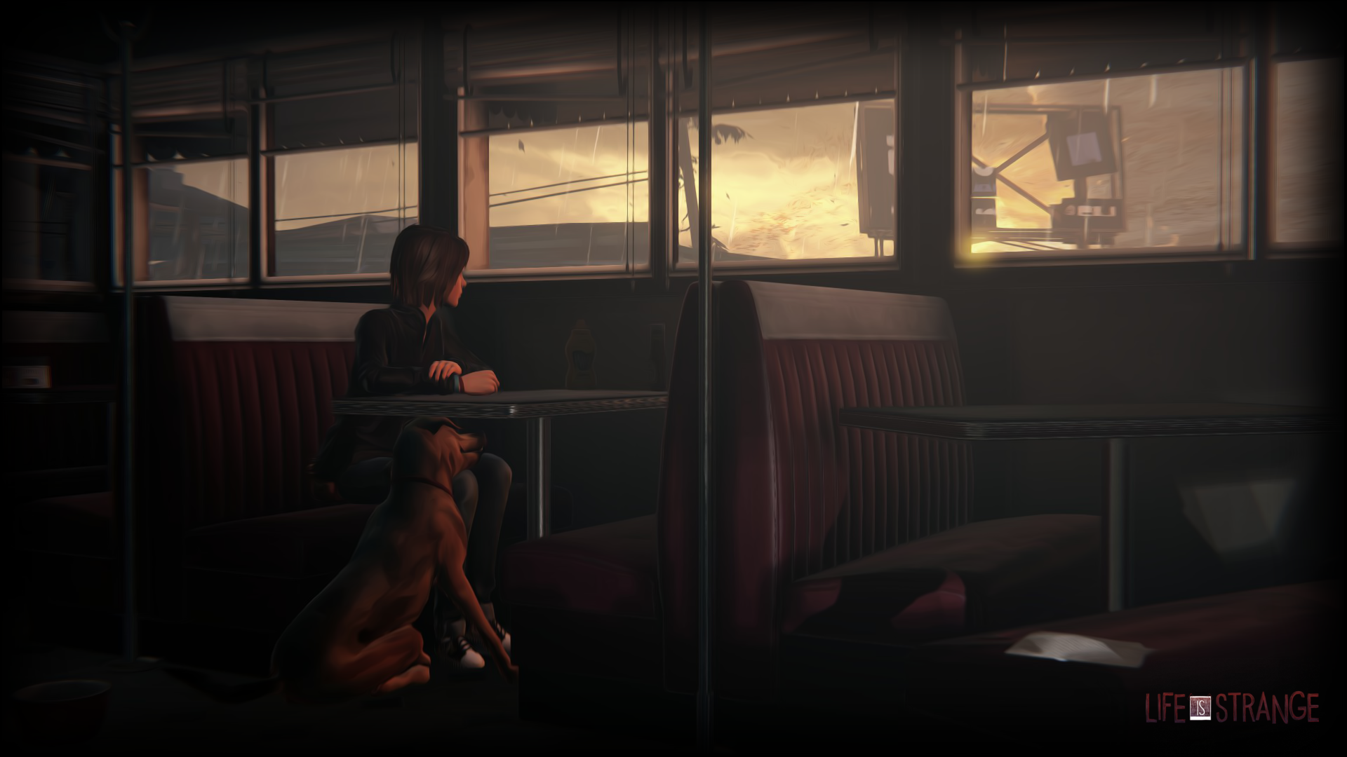 Max Caulfield and dog in Life Is Strange HD Wallpaper