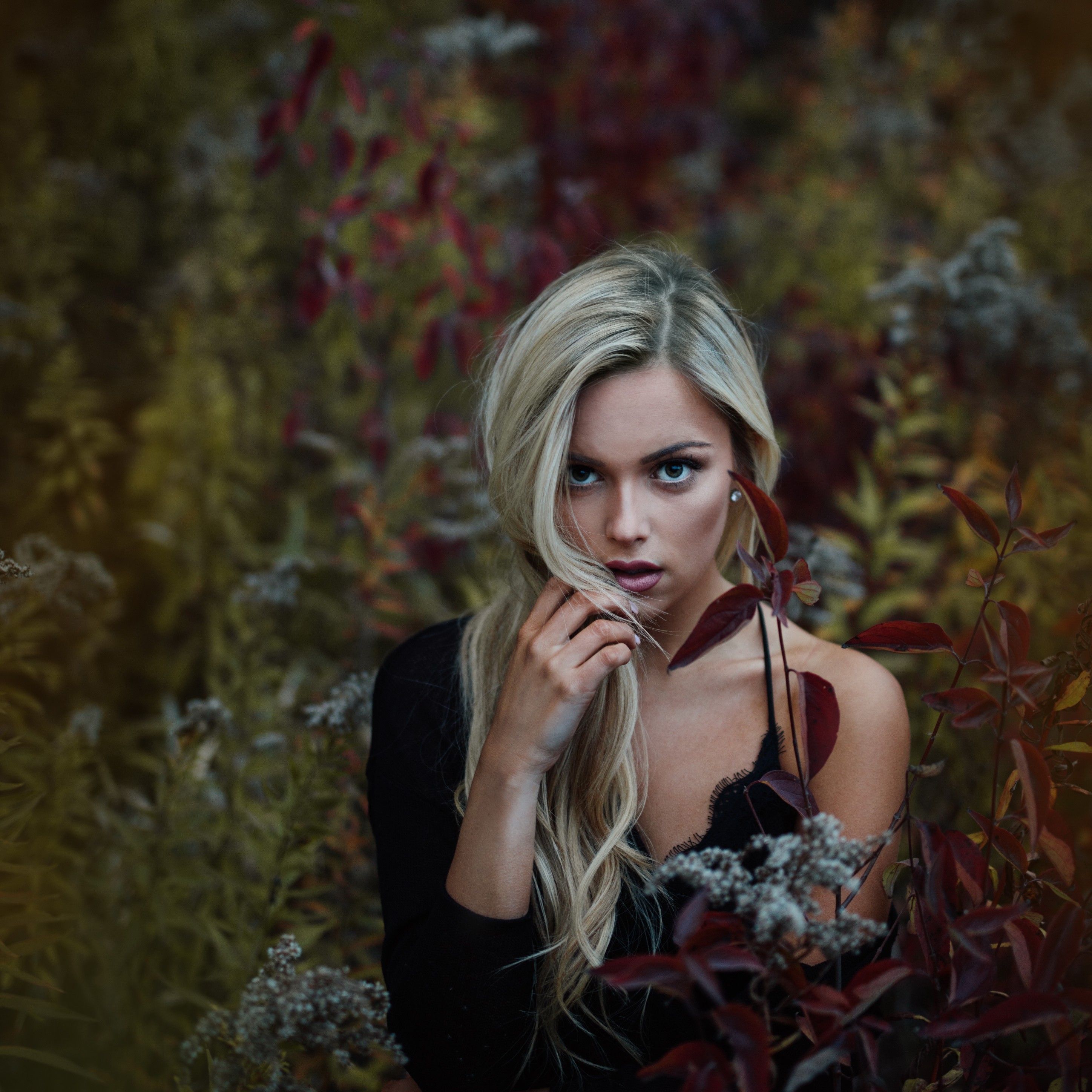 Woman with blonde hair in a field of plants HD Wallpaper