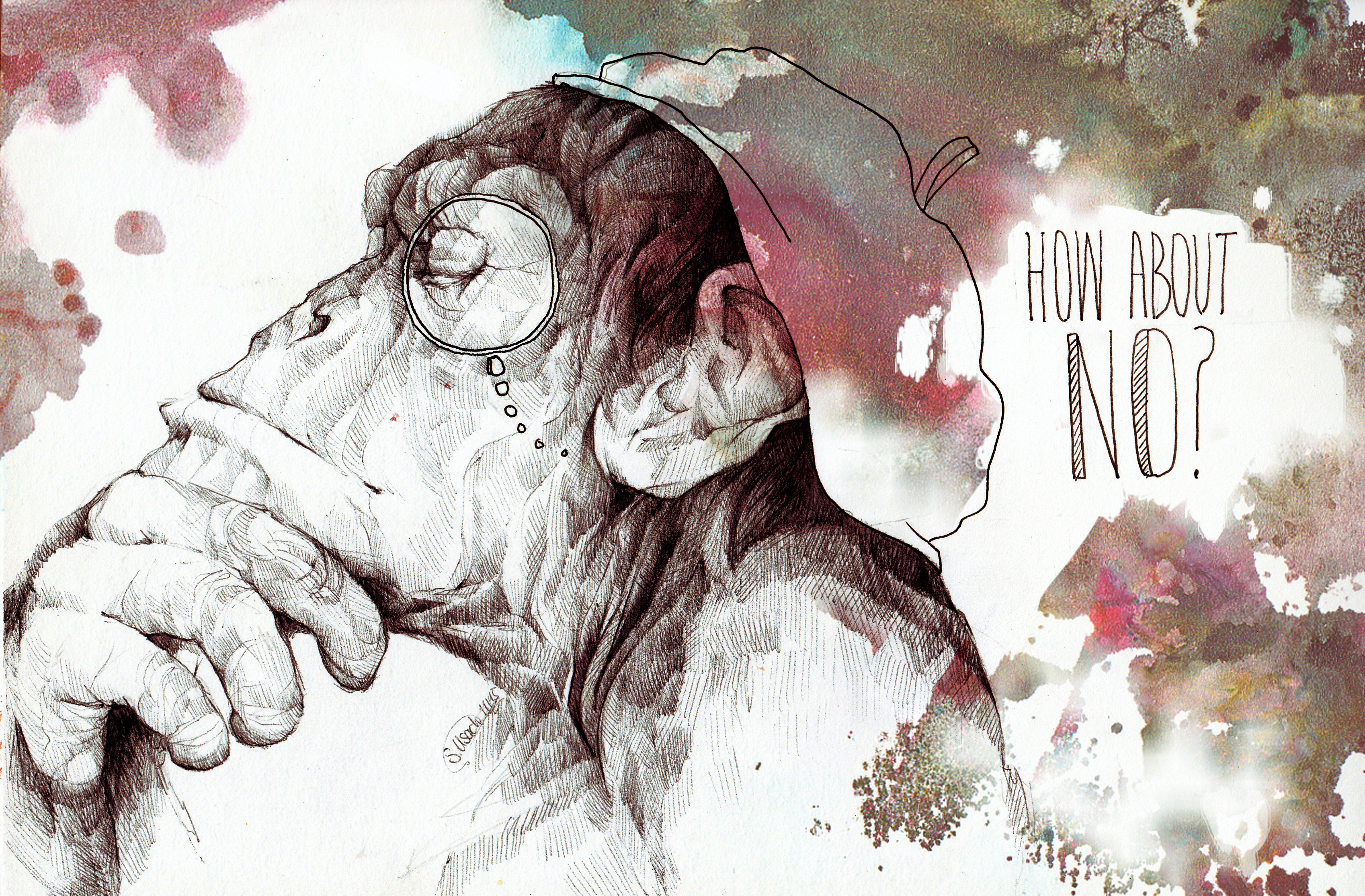 Monkey wearing a monocle with text 'How About No?' HD Wallpaper