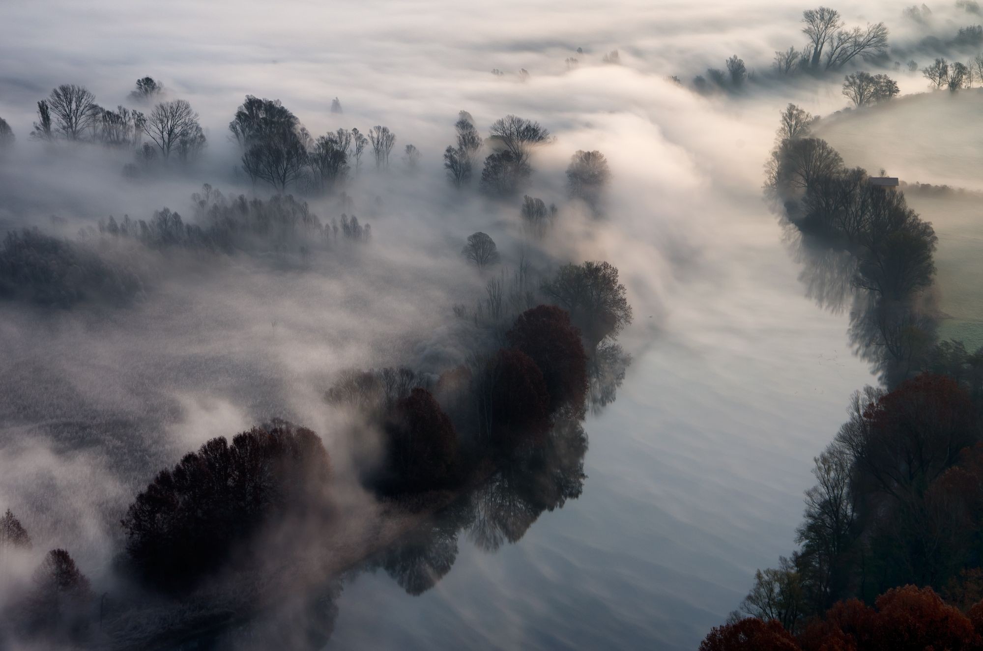 River and trees shrouded in mist HD Wallpaper