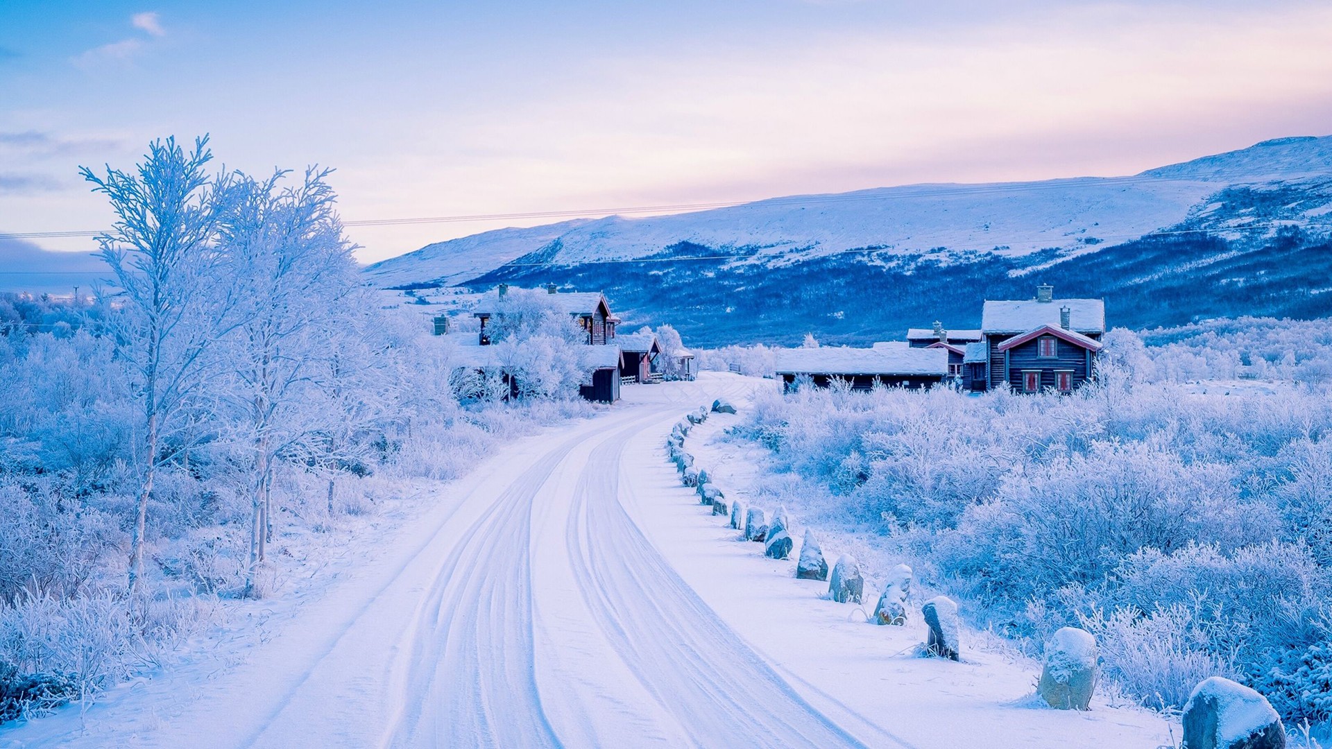 Winter scene with houses and snow-covered trees HD Wallpaper