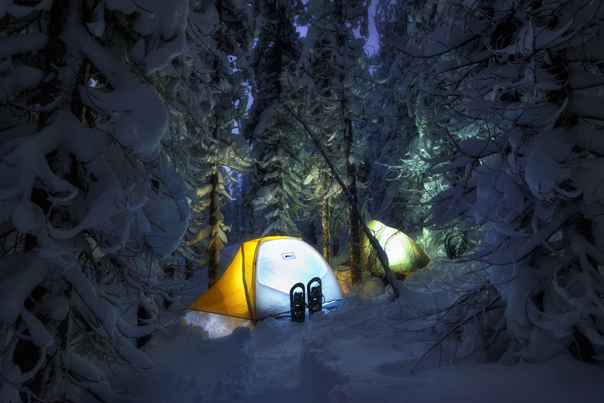 Two tents glowing in a snowy forest at night HD Wallpaper