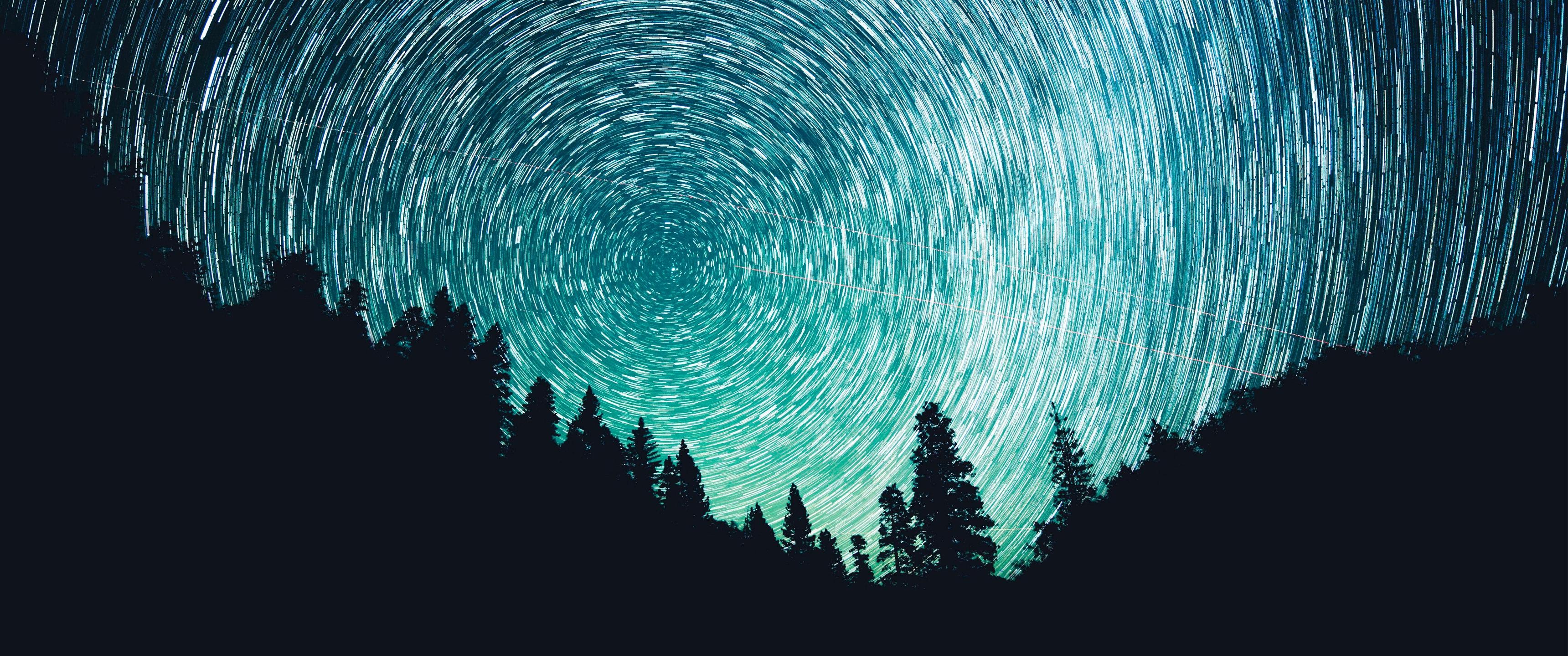 Star trails over a dark forest landscape HD Wallpaper