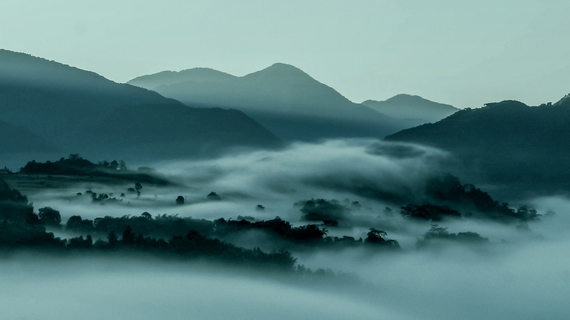 Misty mountains and forest landscape HD Wallpaper