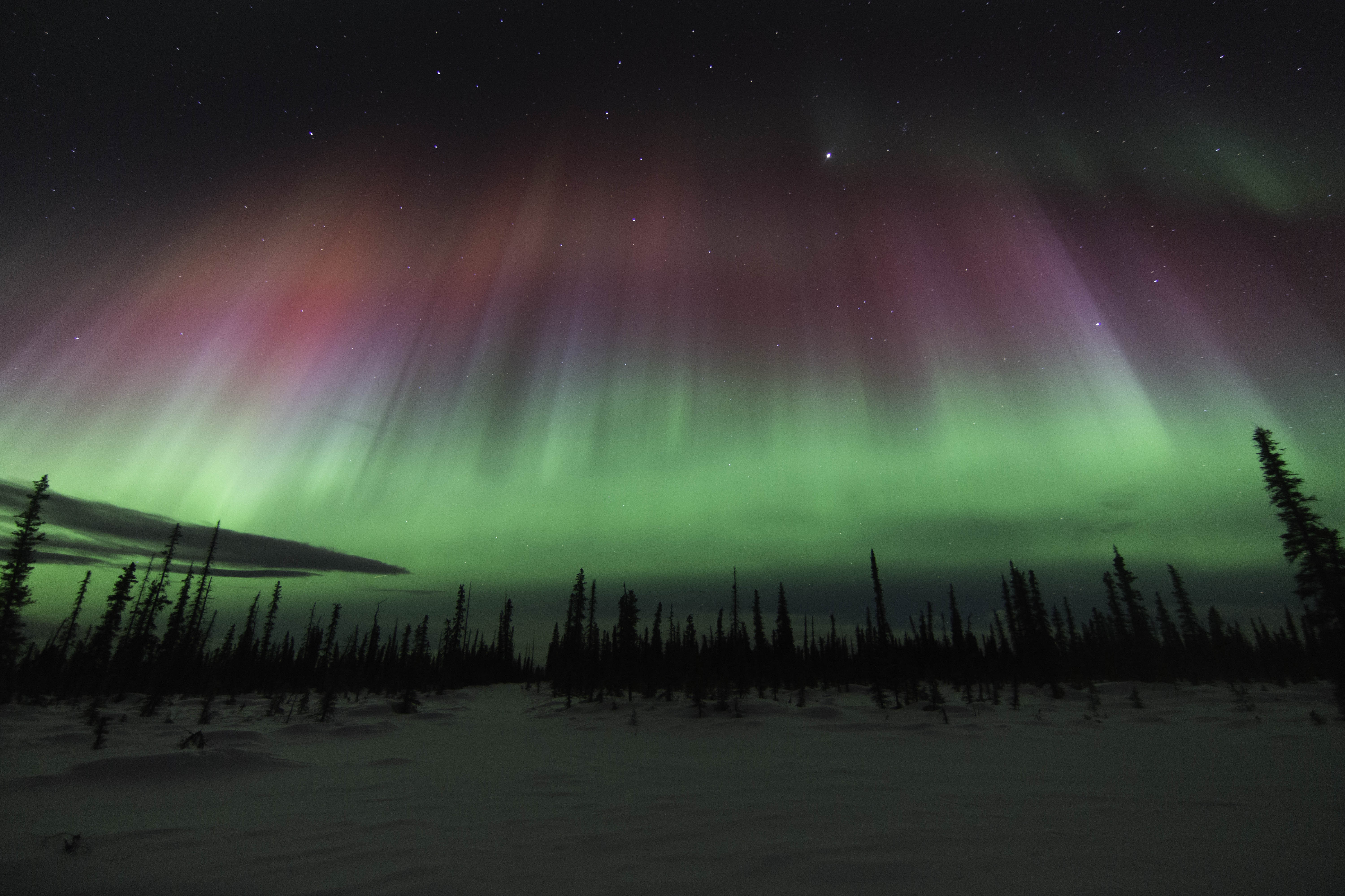 Aurora Borealis over a snowy forest landscape HD Wallpaper
