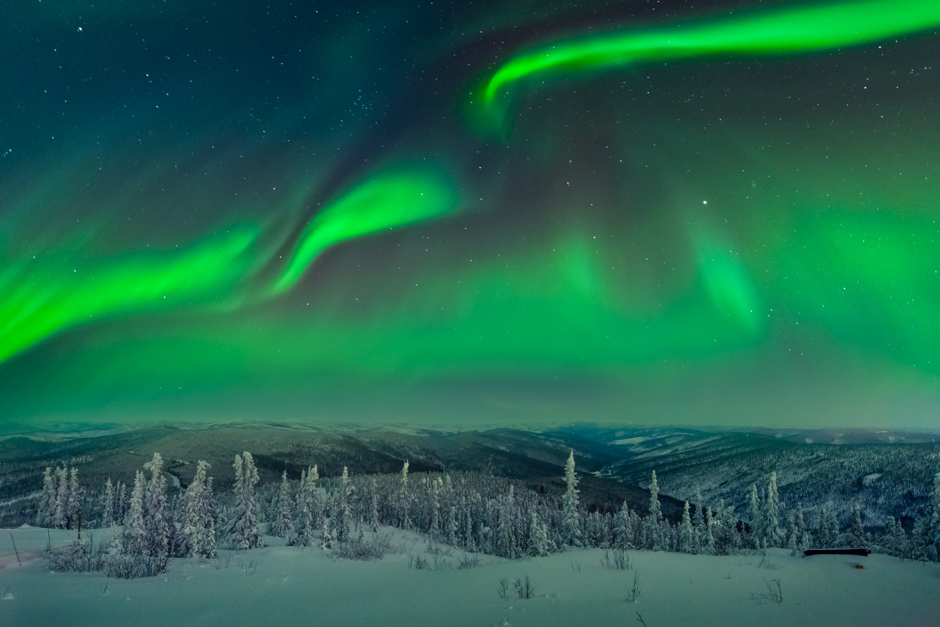 Aurora Borealis over a snowy forest landscape HD Wallpaper