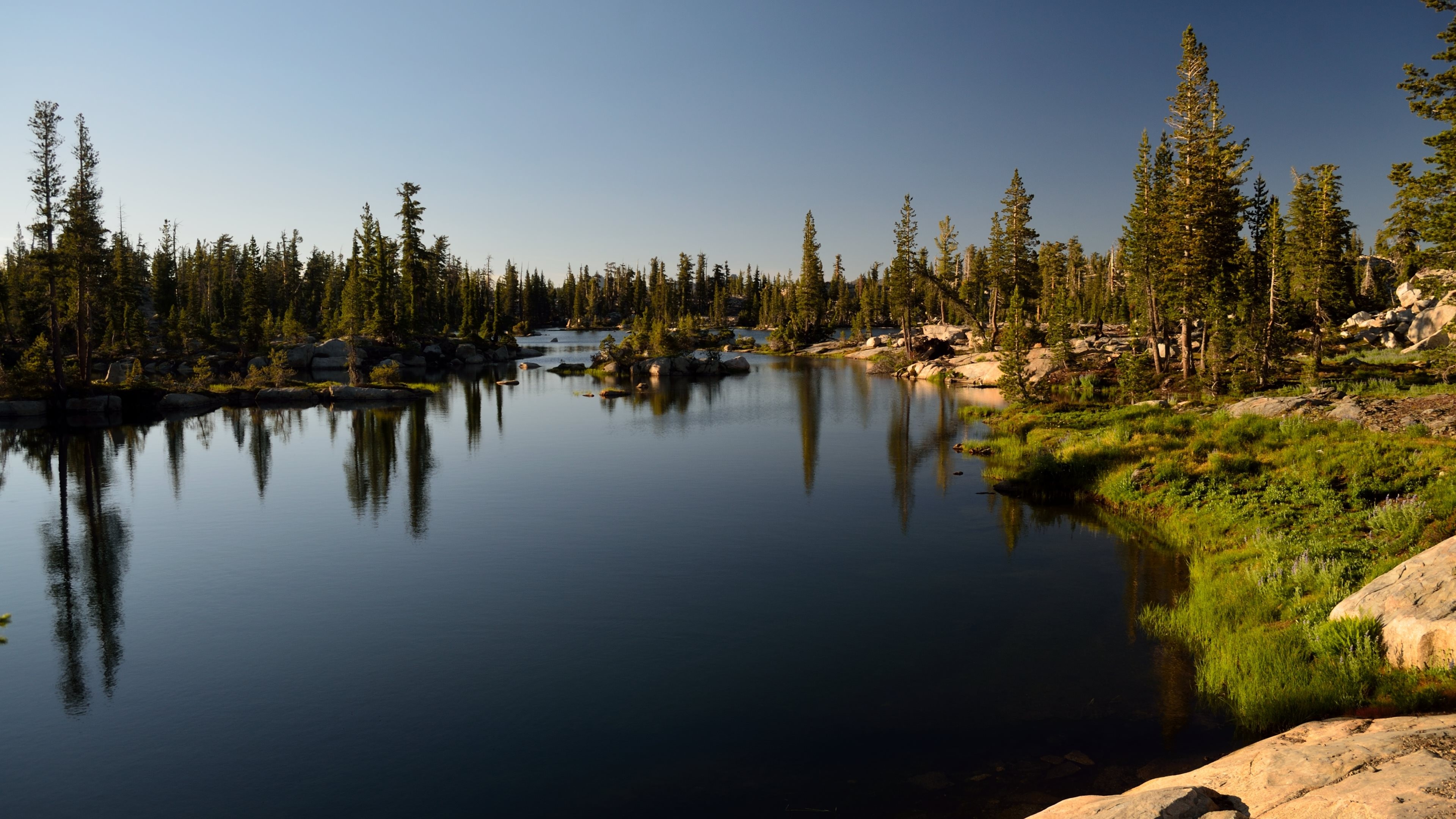 Forest and lake with reflections HD Wallpaper