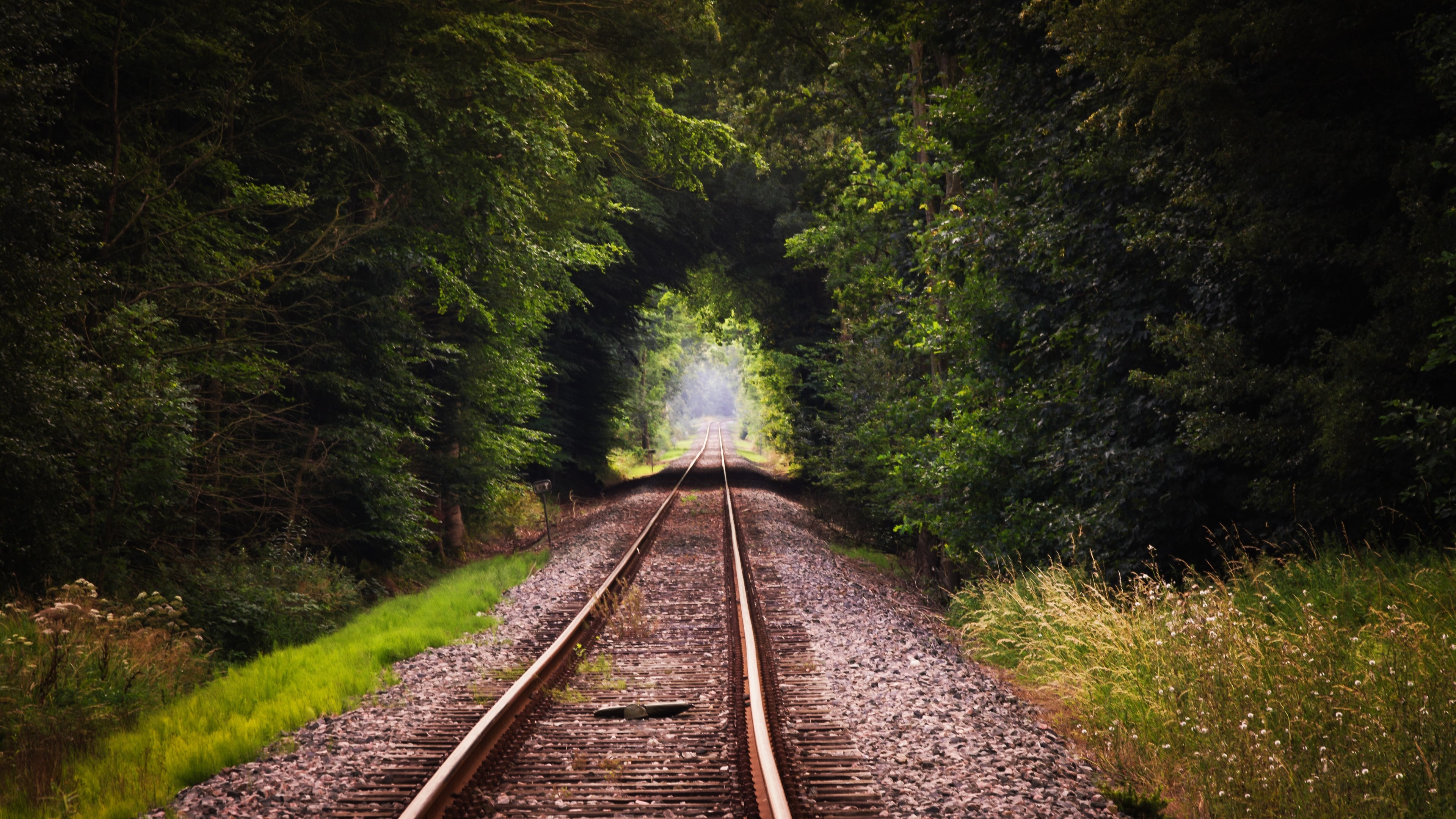 Railway tunnel through a dense green forest HD Wallpaper