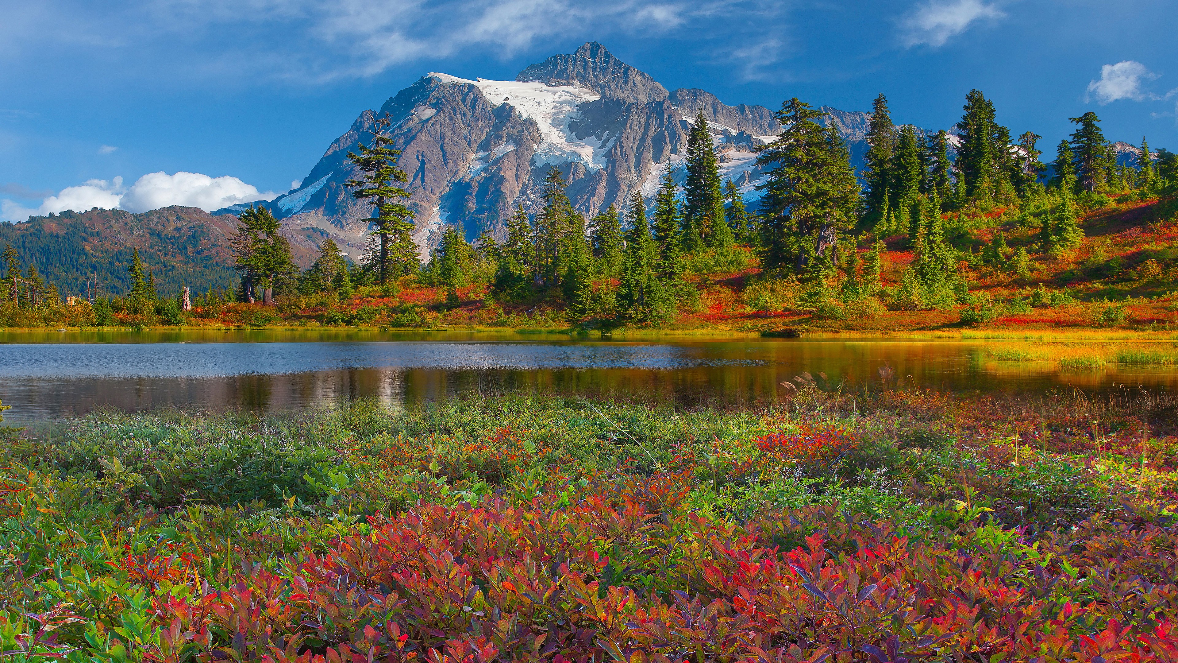 Mountain lake with autumn foliage and snow-capped peak HD Wallpaper