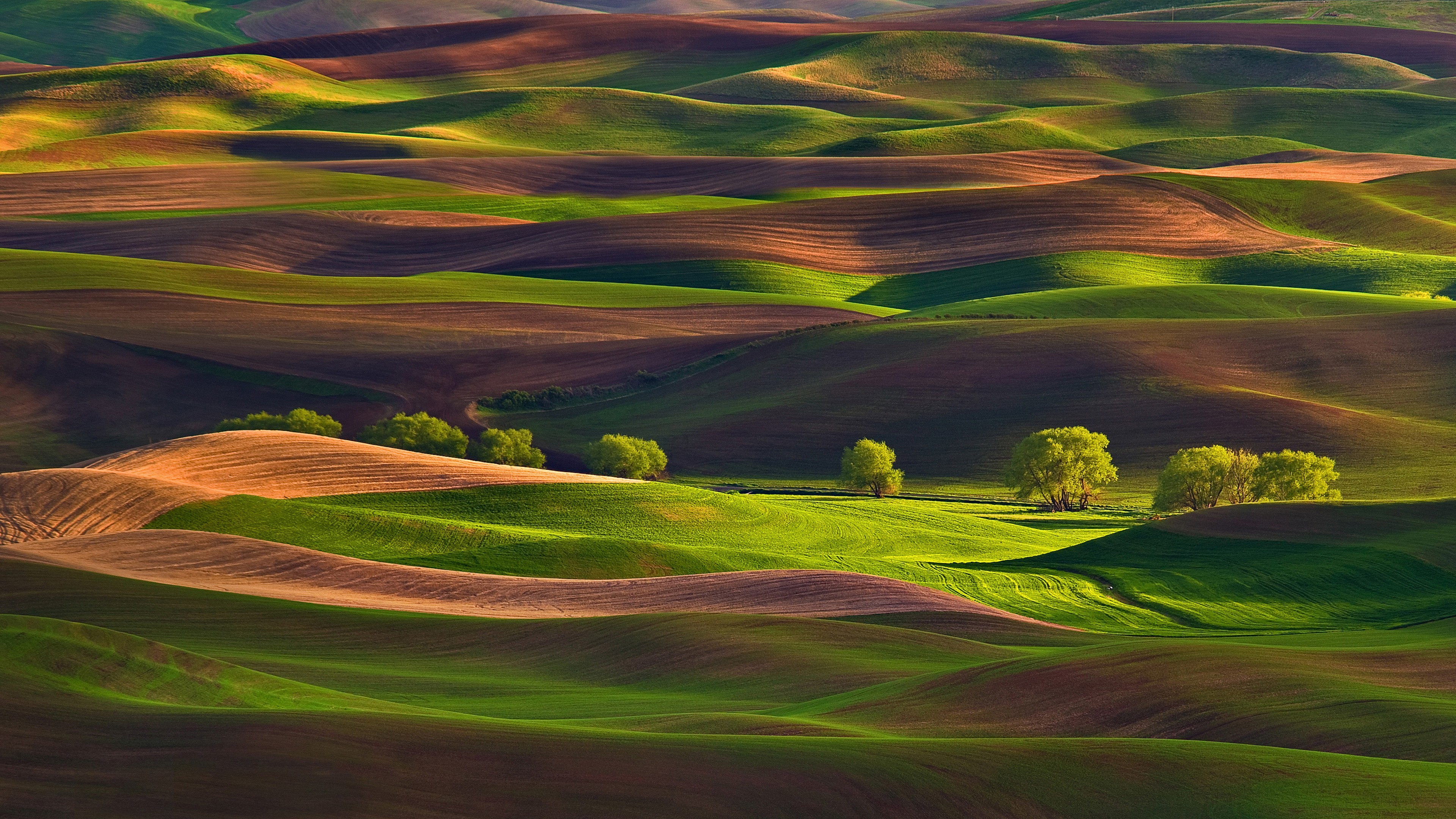 Rolling hills of Palouse, Washington HD Wallpaper