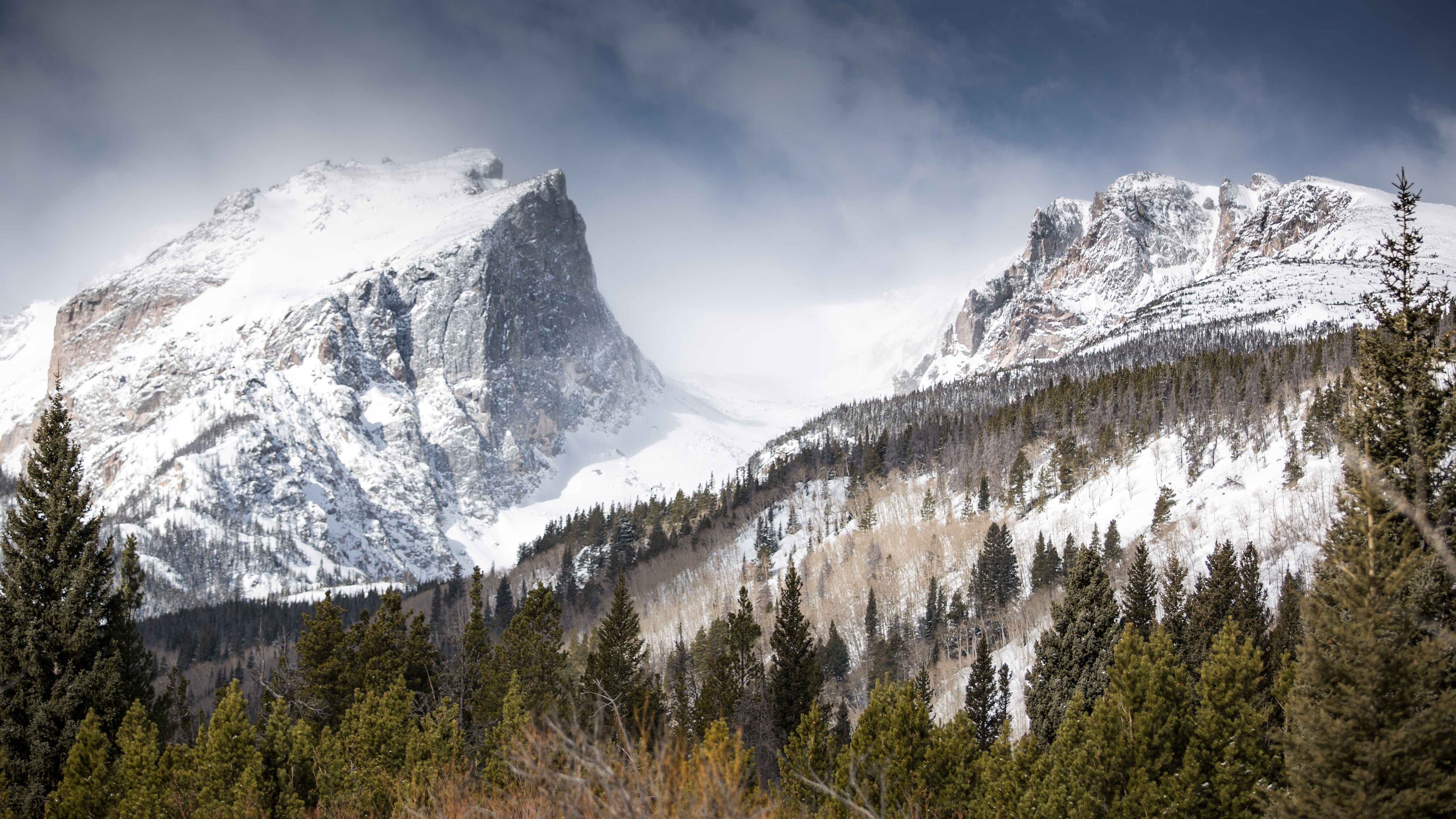 Snow-covered Rocky Mountains with pine forest HD Wallpaper