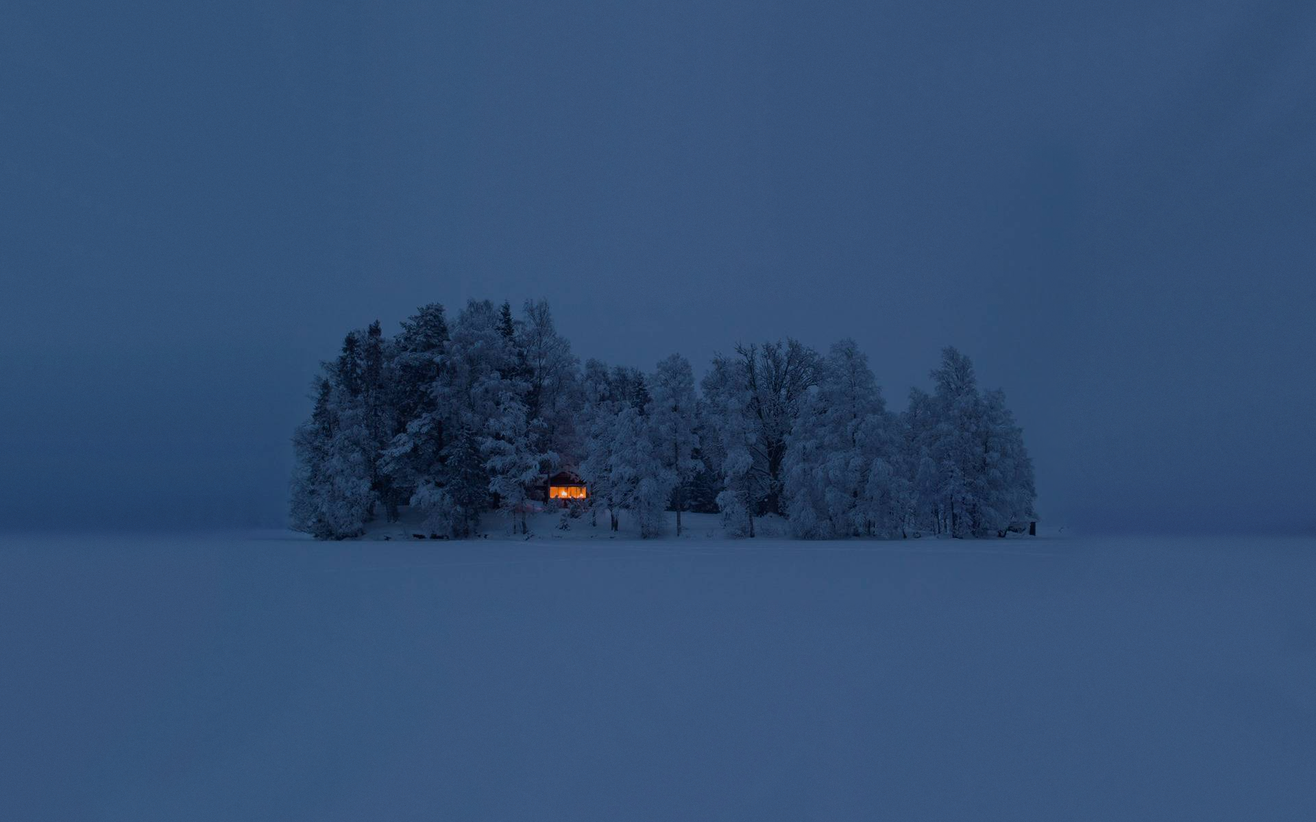 A house in a snowy forest at dusk HD Wallpaper