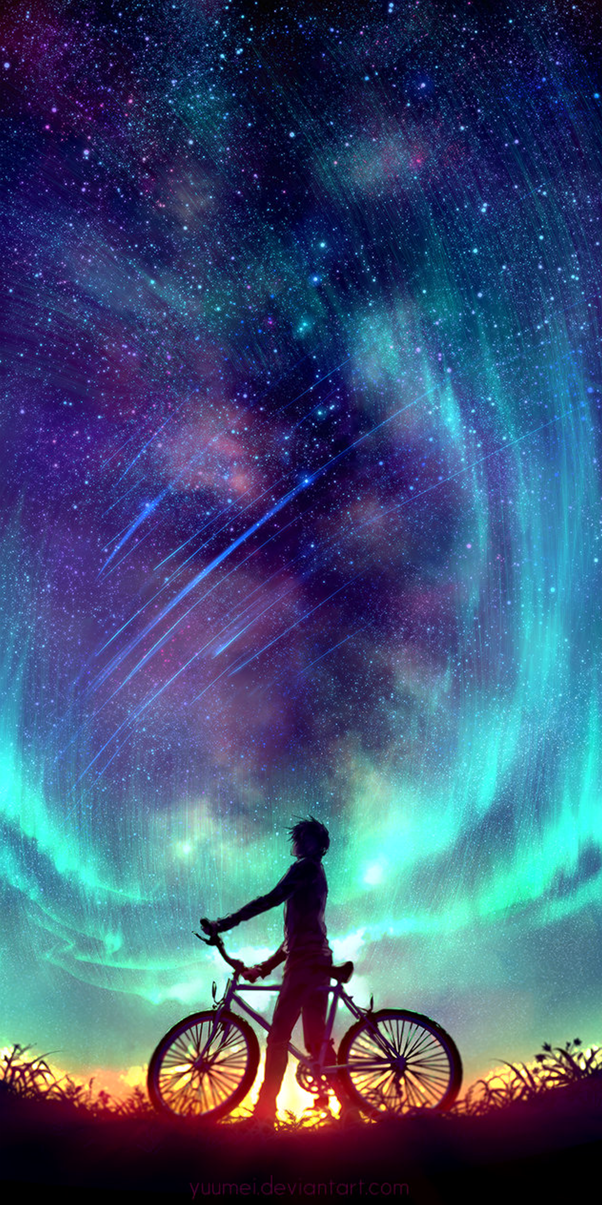 Silhouette of a person with a bicycle under a starry sky HD Wallpaper