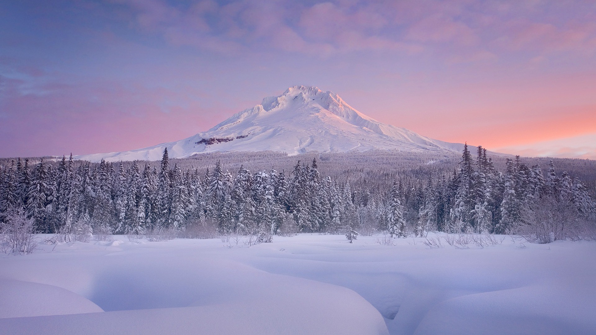 Snow-covered mountain and forest at sunrise HD Wallpaper