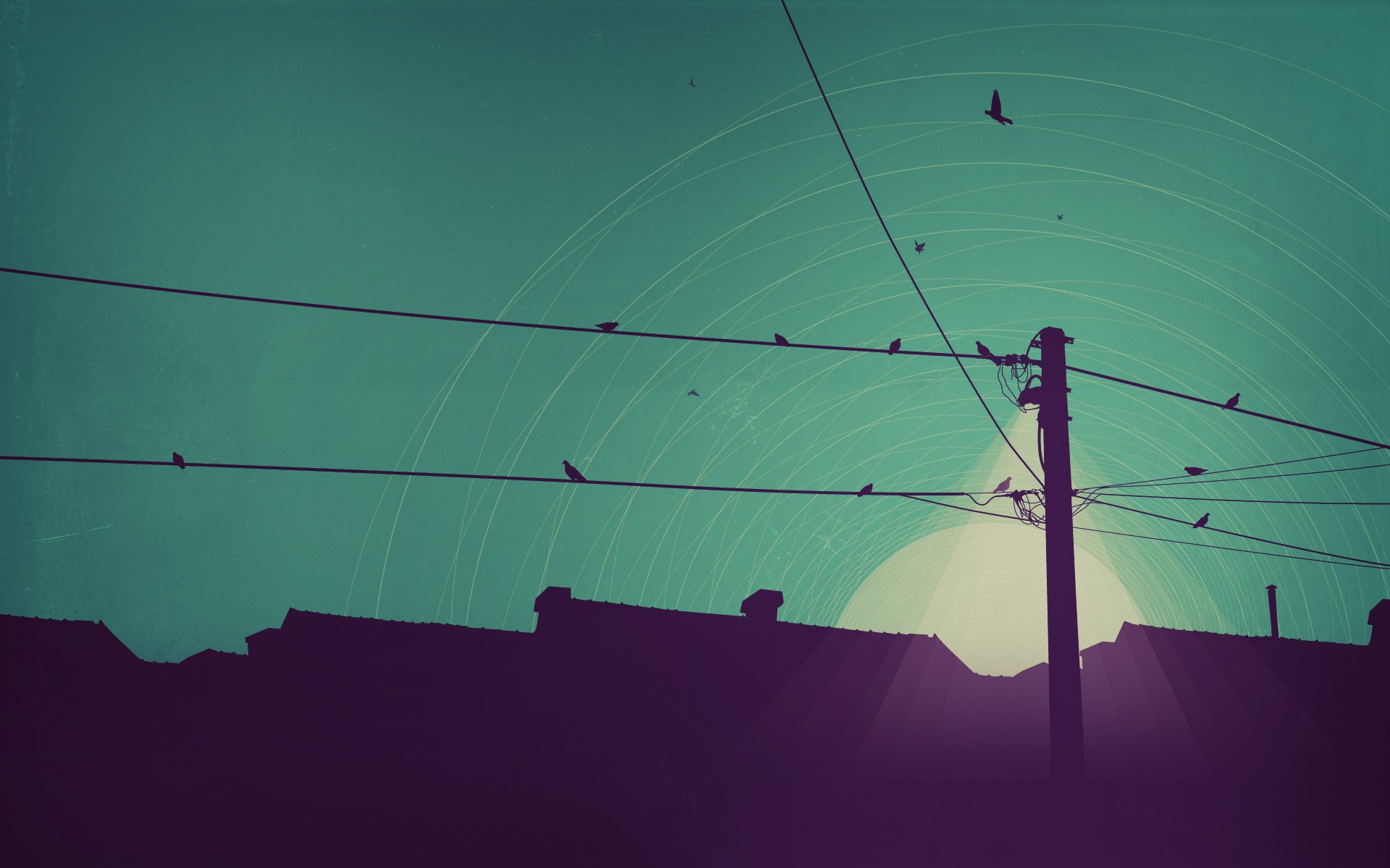 Birds perched on wires above rooftops at sunset HD Wallpaper